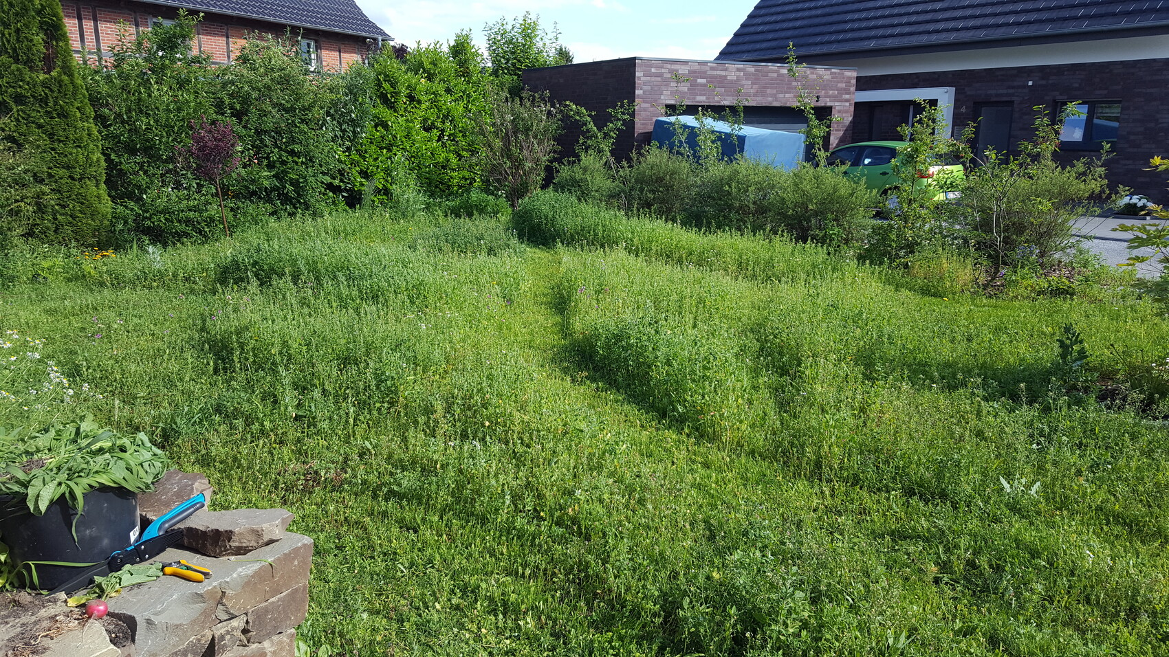 Überwucherter Vorgarten mit hohem Gras; linke Steinmauer mit Werkzeugen; Haus im Hintergrund.