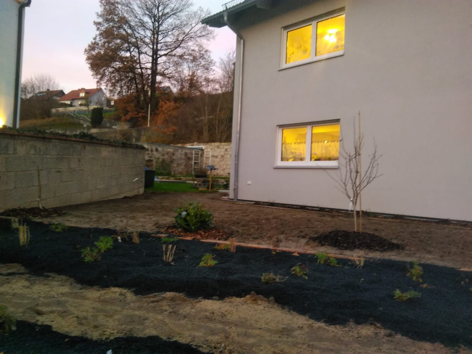 Außenansicht eines Hauses mit gelb leuchtenden Fenstern, Gartenfläche und jungen Bäumen.