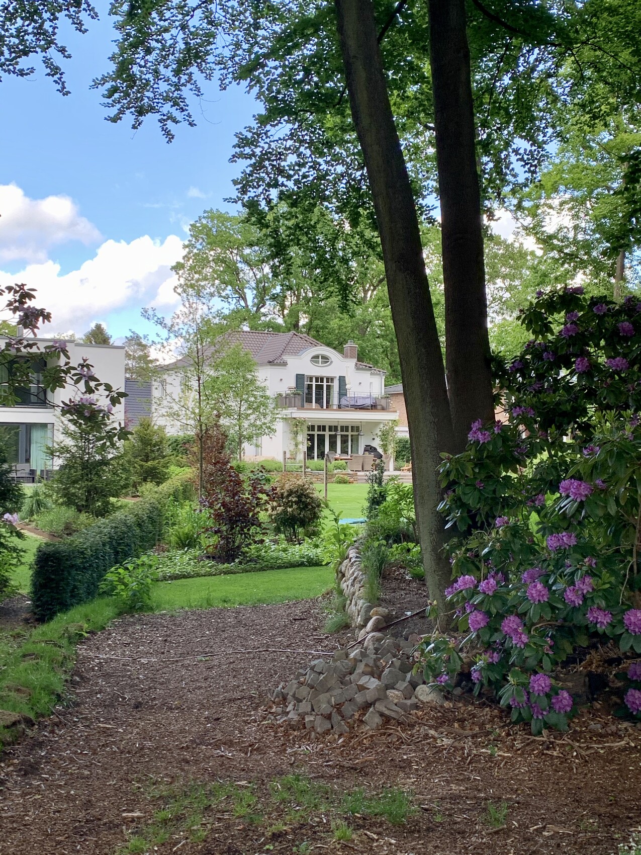 Garten mit Kies- und Mulchweg, links Rhododendren, Blick zum weißen Haus im Hintergrund.