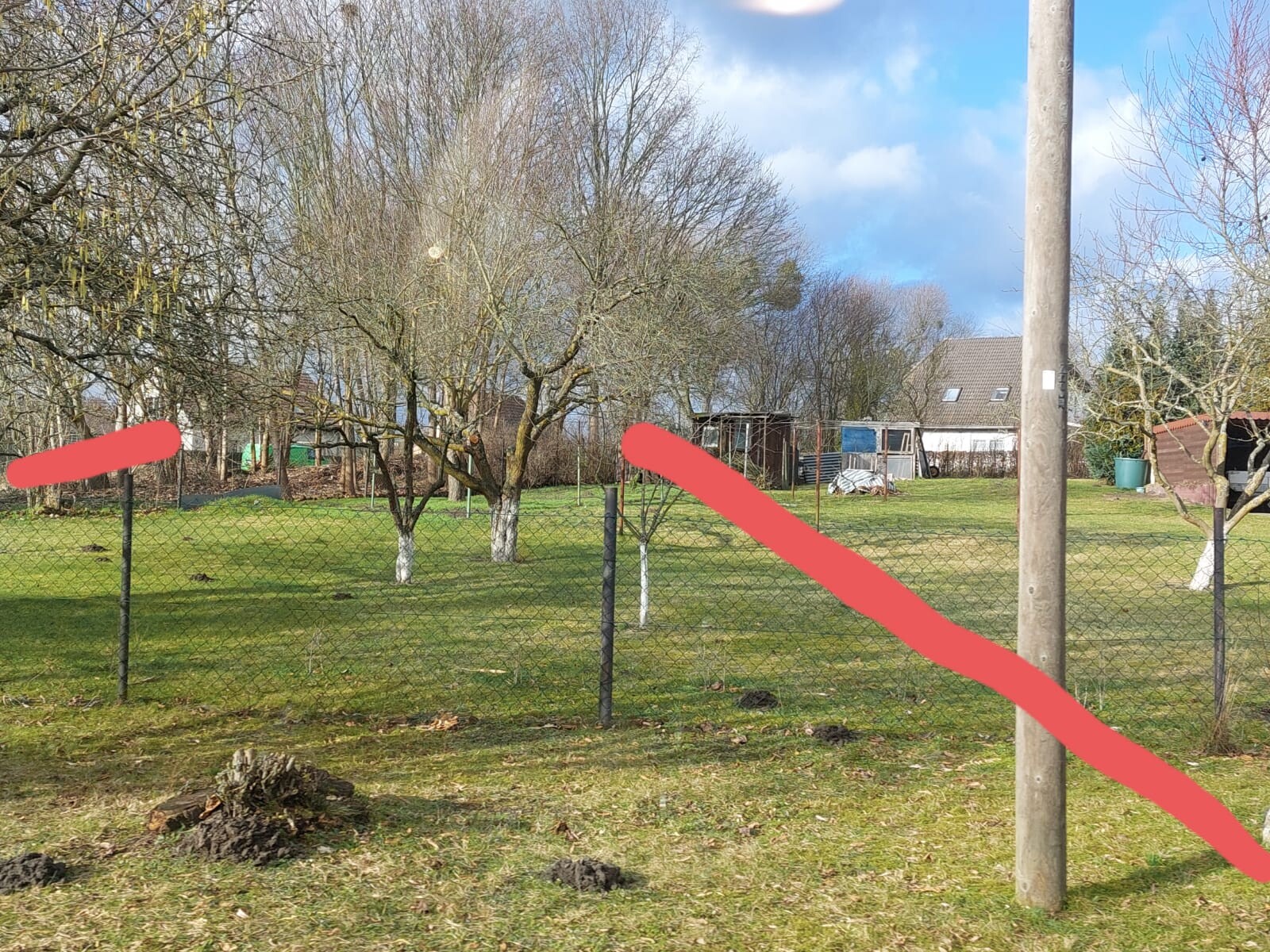 Garten mit Zaun, Bäumen, grasgrünem Rasen und einem Schuppen im Hintergrund