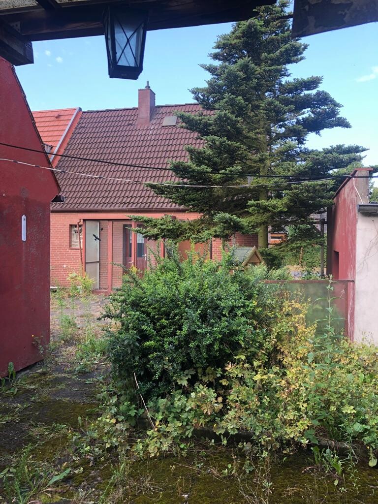 Innenhof mit roten Backsteinhäusern, großer Nadelbaum, verwilderten Sträuchern und Moosboden.