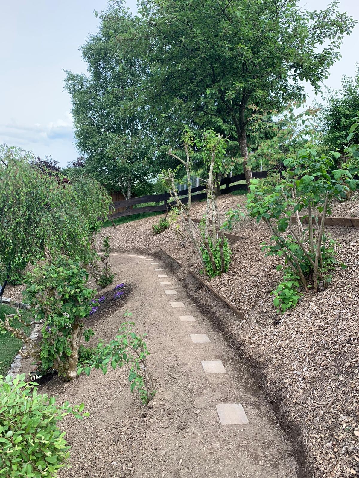 Kurviger Weg aus Erde mit quadratischen Steinen, von Bäumen, Sträuchern und Mulch umgeben.