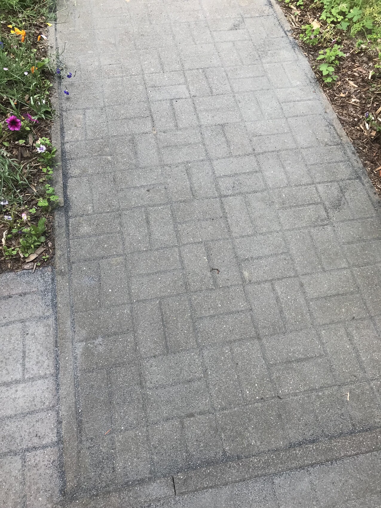 Gepflasterter Gehweg aus grauen Pflastersteinen, flankiert von bunten Blumenbeeten.
