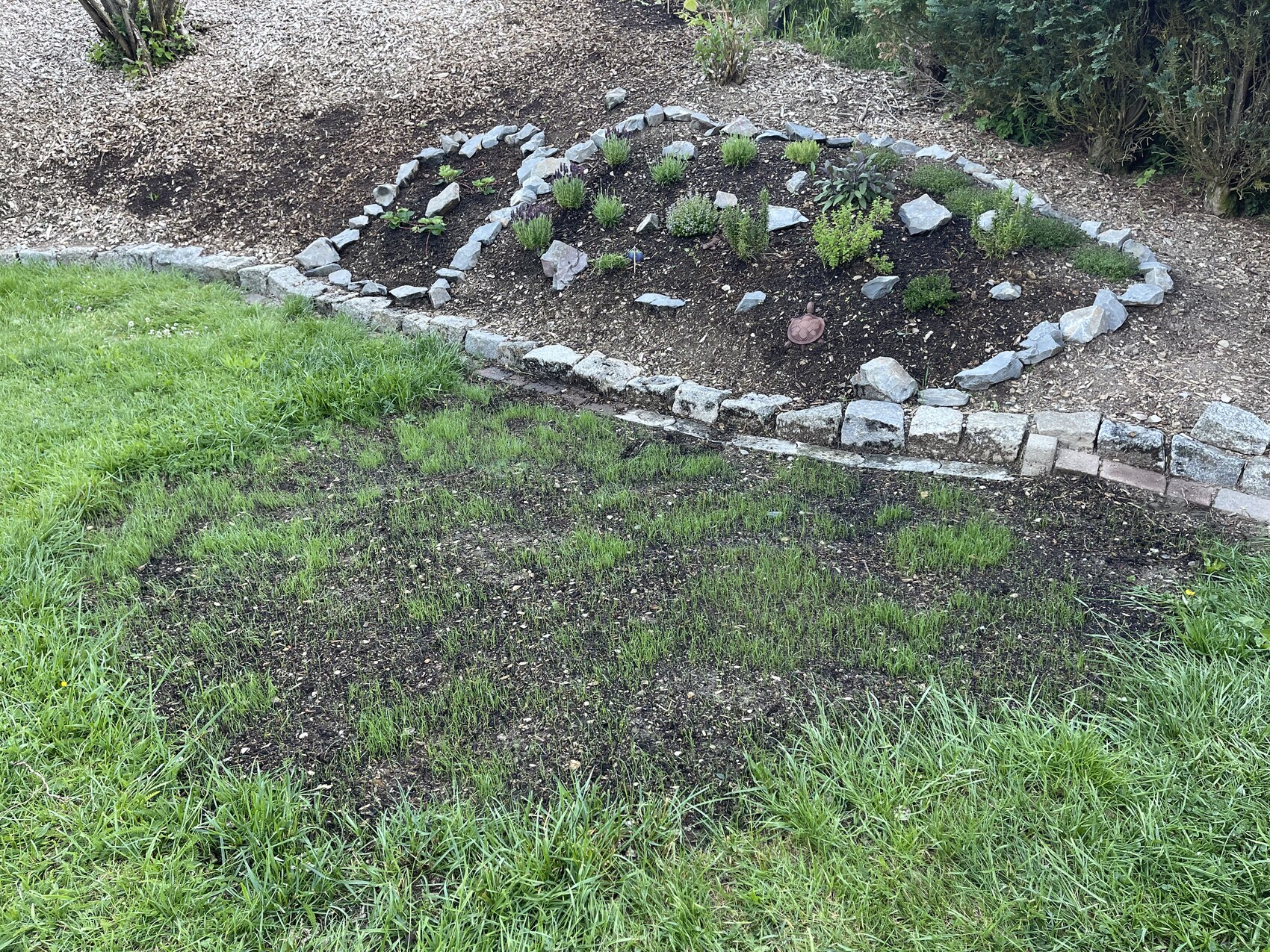 Gartenbeet eingerahmt von Steinen, Mulchboden mit kleinen Sträuchern; Grasfläche im Vordergrund.