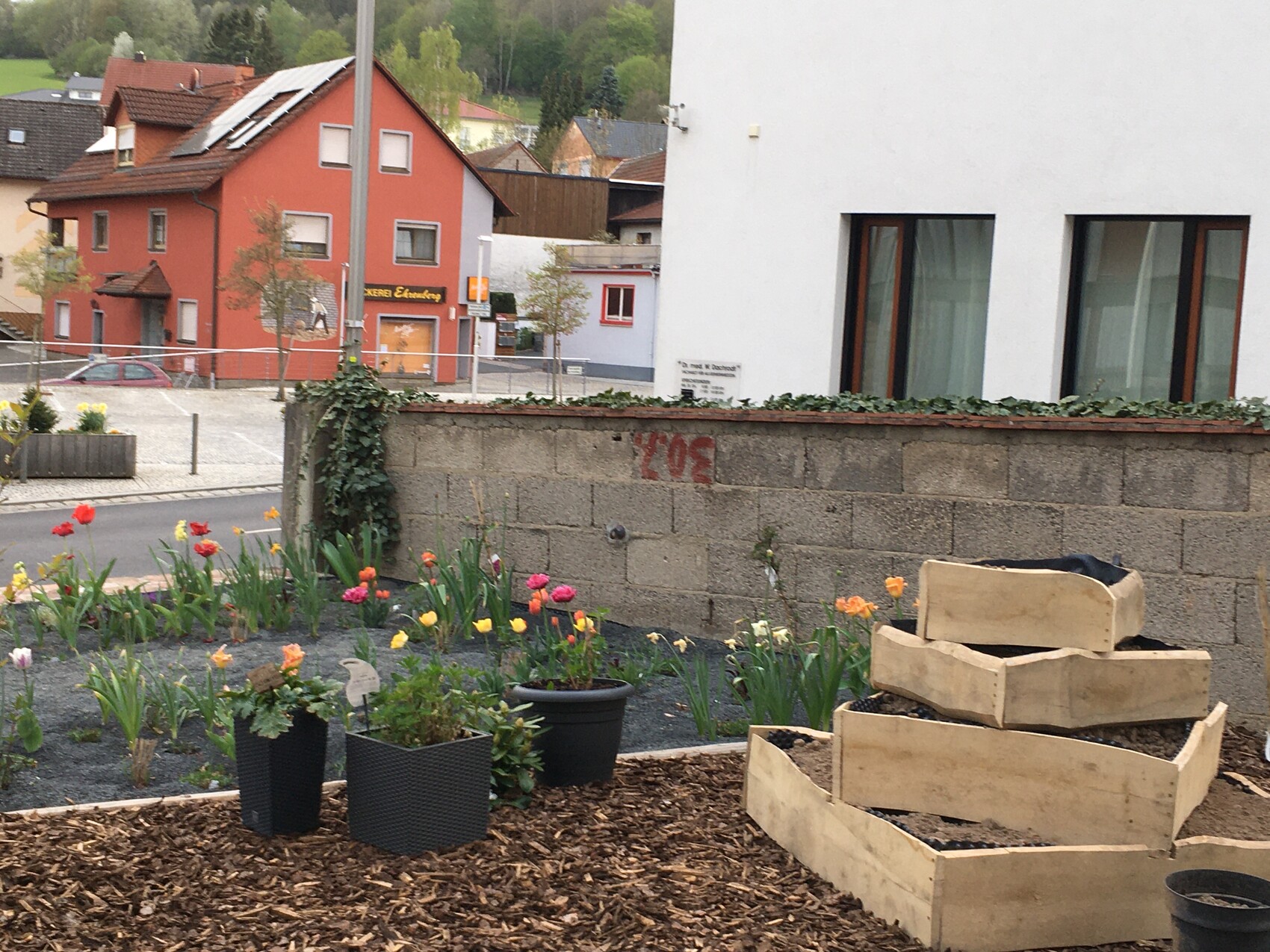 Gartenanlage mit Tulpen, Topfpflanzen und Holzbeete vor Steinmauer; rotes Haus im Hintergrund.