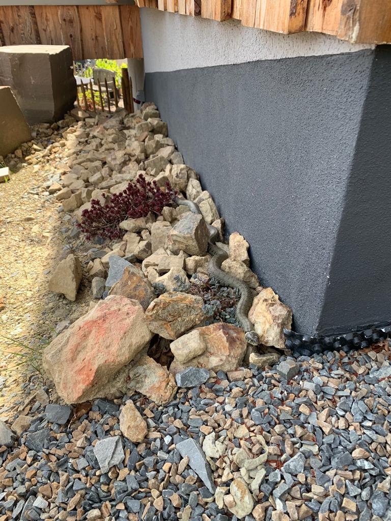 gartenhaus-bilderthread-zeigt-her-eure-gartenhausbilder-436468-1.jpeg
