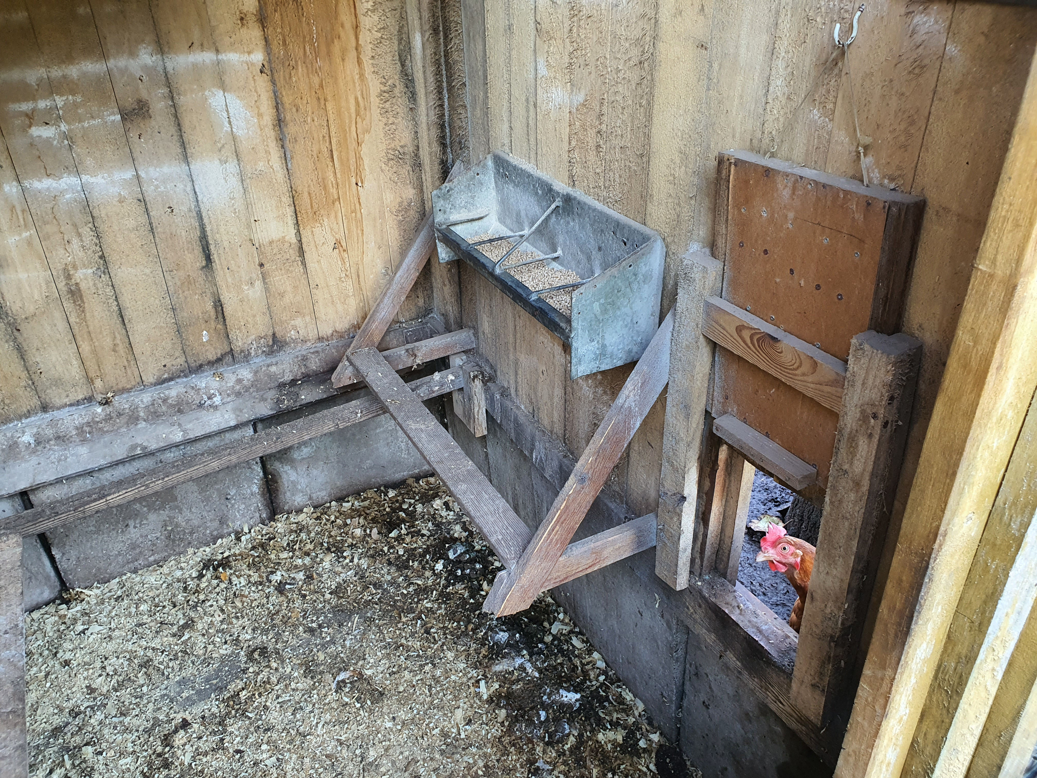 20201219_112614.jpg