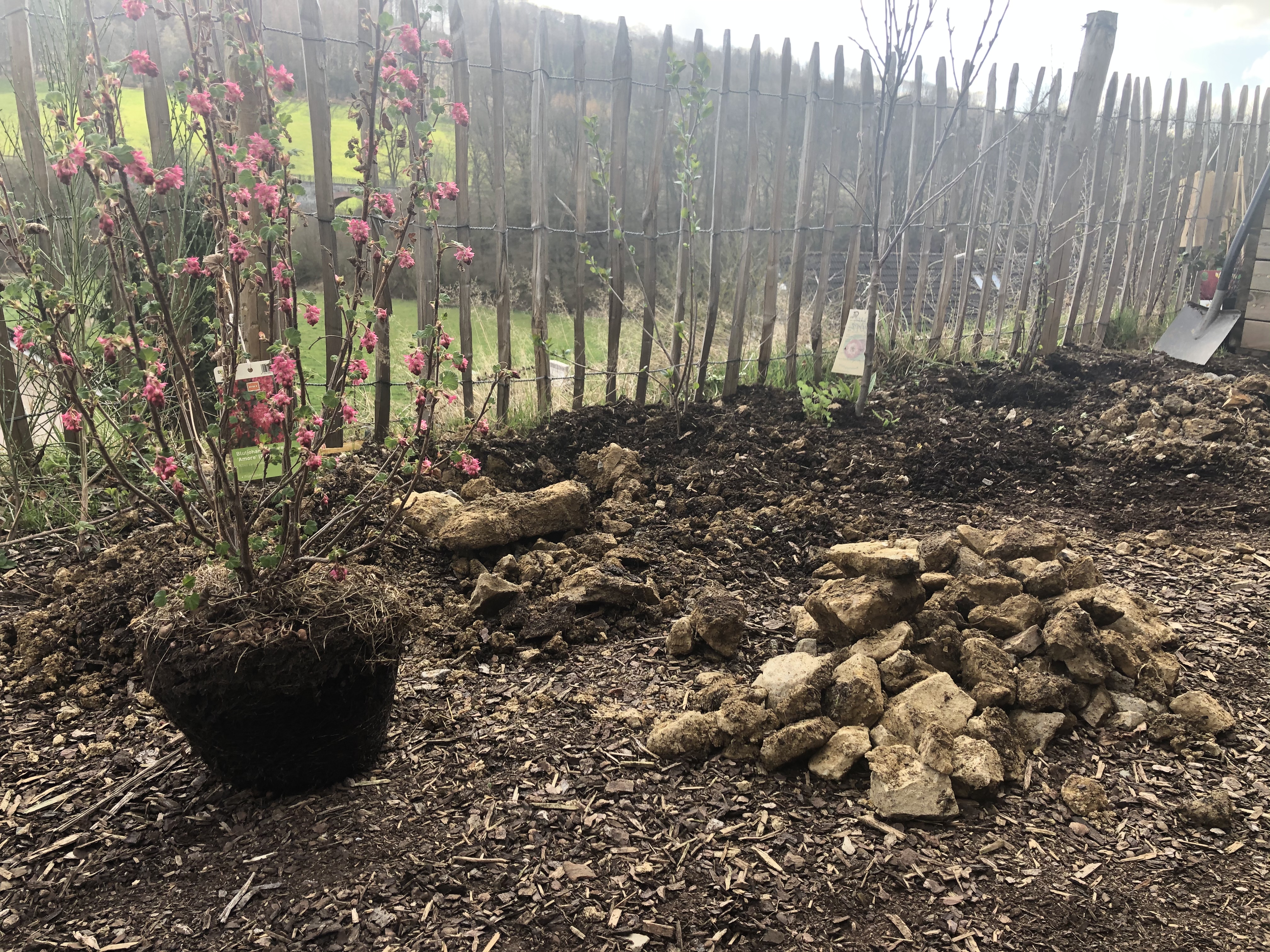 gartenhaus-bilderthread-zeigt-her-eure-gartenhausbilder-485483-1.jpeg
