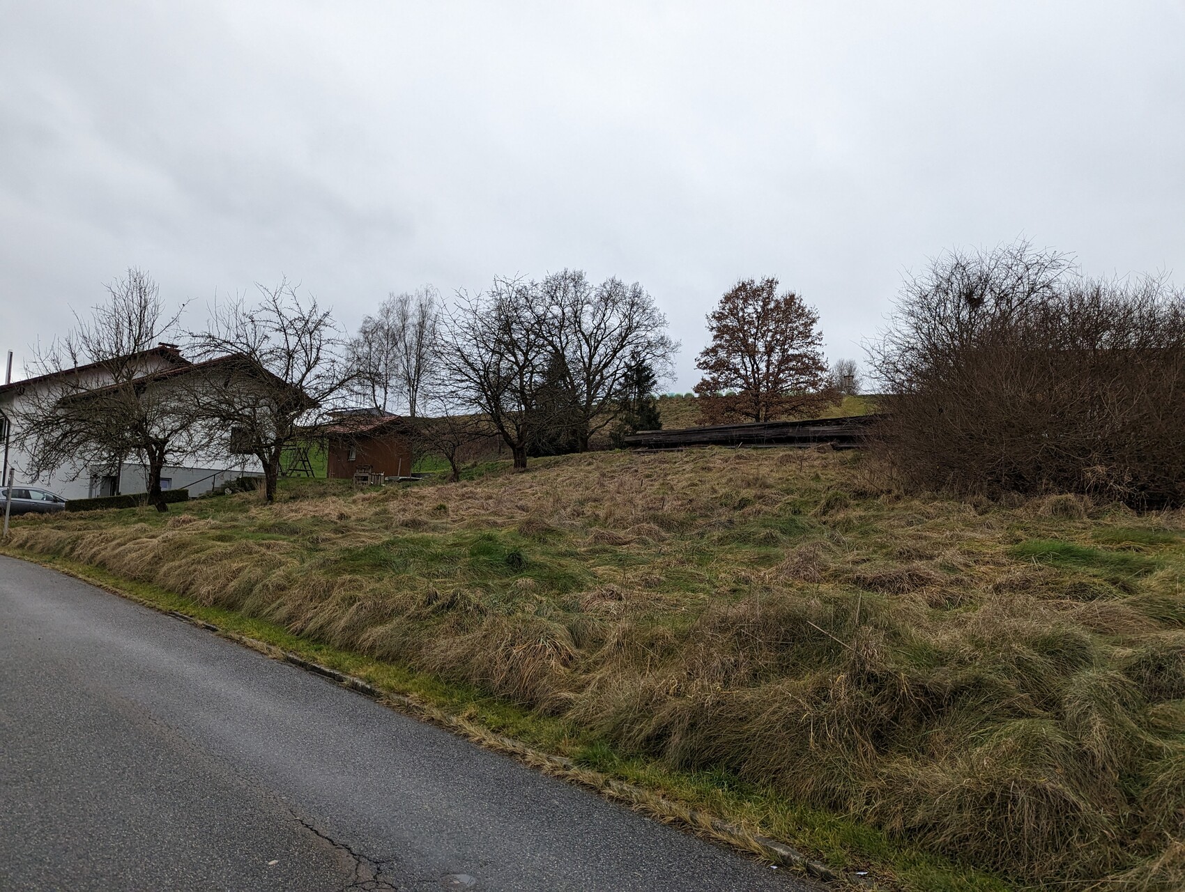 Außenansicht eines unbebauten Grundstücks mit Grasfläche, Bäumen und Straßenrand.