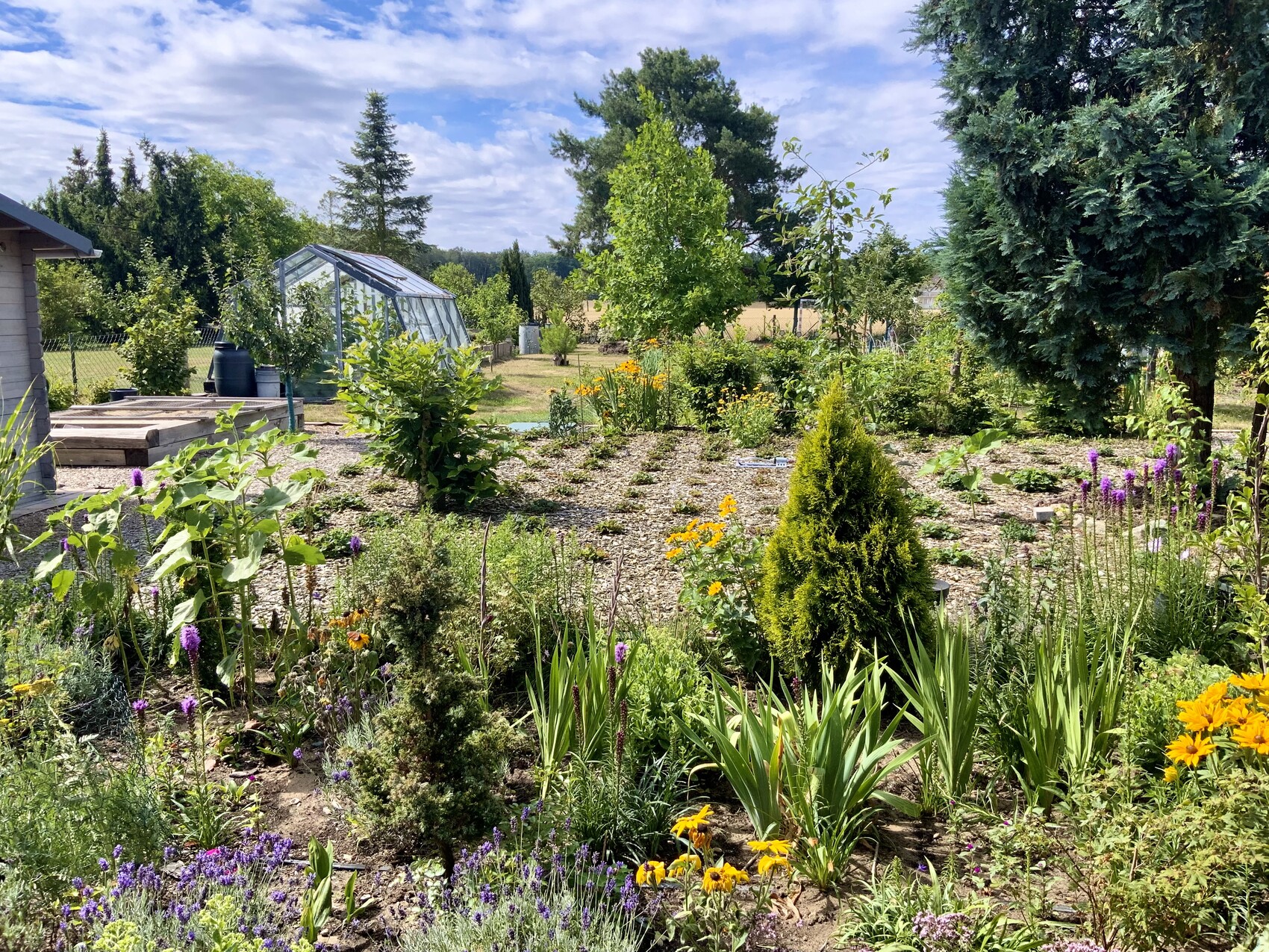 Garten mit Gewächshaus, Kiesflächen, Bäumen, blühenden Beeten und Sträuchern bei sonnigem Himmel.