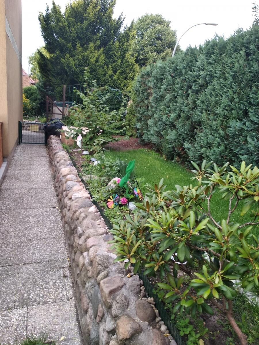 Gartenpfad neben Steinmauer, grüne Rasenfläche und dichte Hecke mit Gartenpflanzen