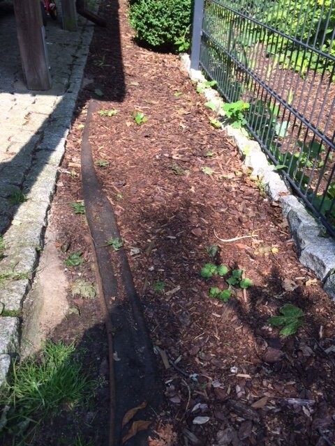 Gartenpfad mit Mulchboden neben Metallzaun und Pflasterfläche