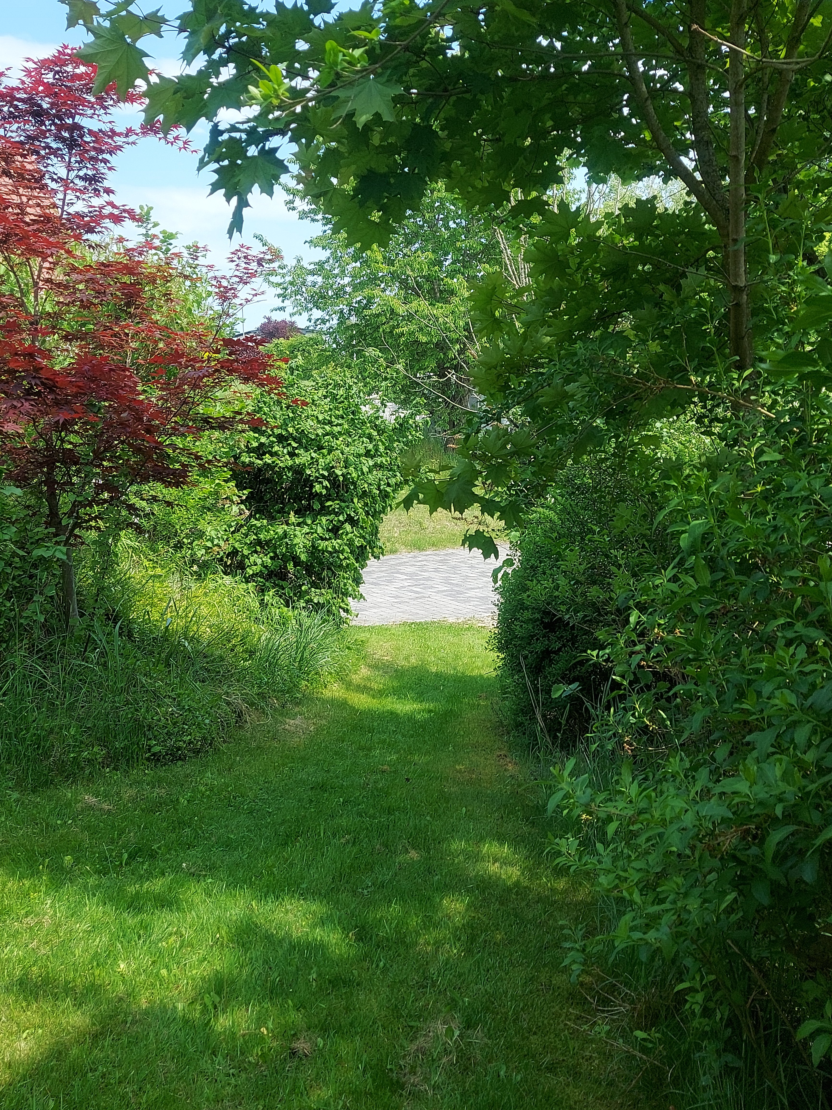 gartenplanung-erster-entwurf-576200-1.jpg