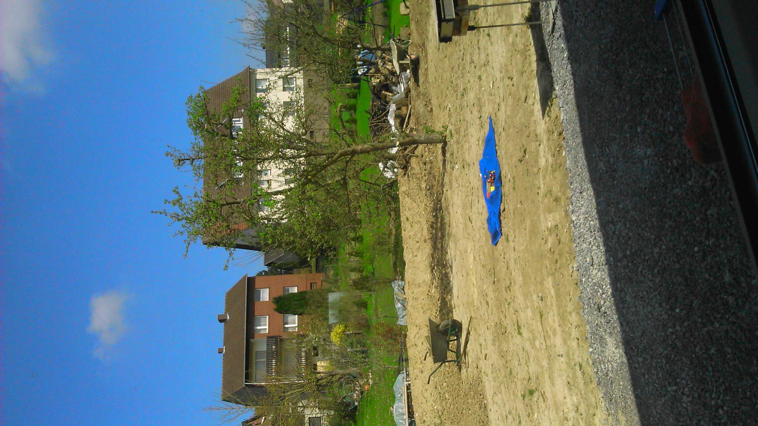 gartenplanung-rasen-nutzgarten-und-straeucher-87543-1.jpg