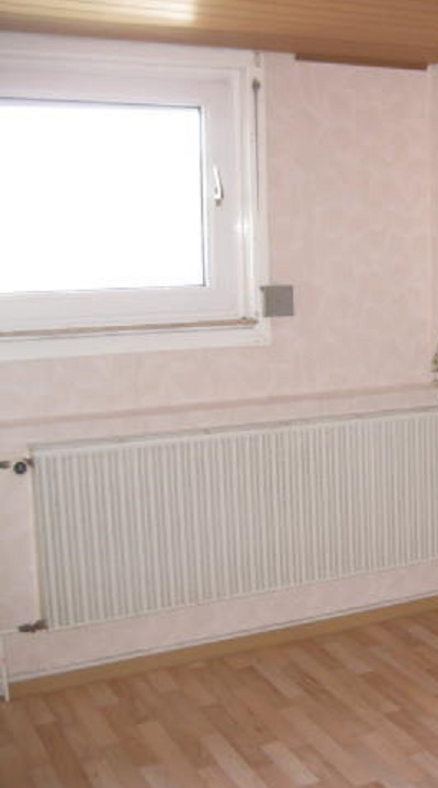 gaubenfenster-nach-unten-vergroessern-319715-2.jpg