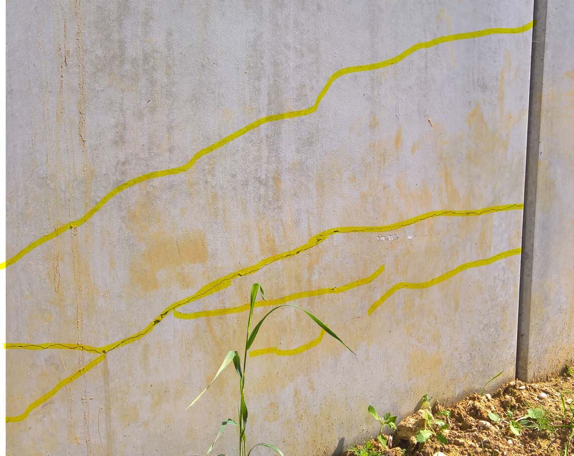 Betonwand mit gelben Markierungslinien, Baustelle im Vordergrund, grüne Pflanze