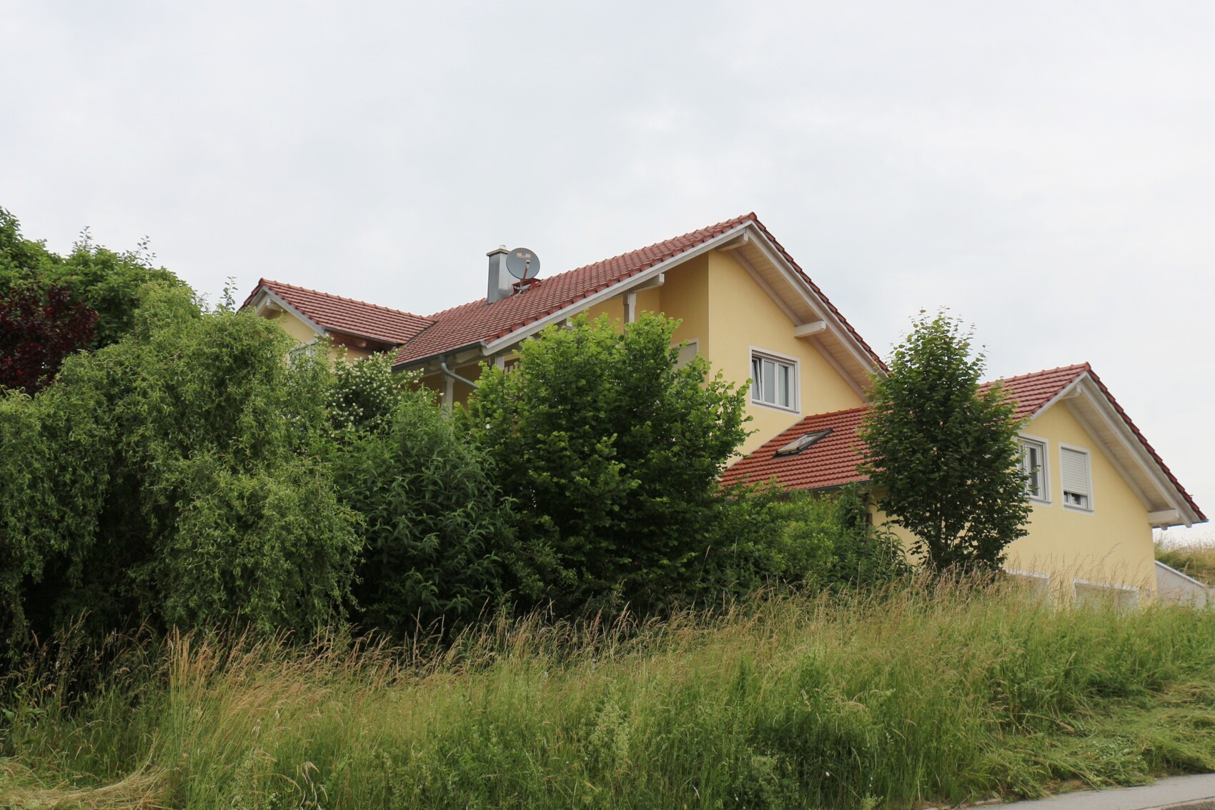 Gelbes Einfamilienhaus mit rotem Ziegeldach, von Bäumen und hohem Gras umgeben.