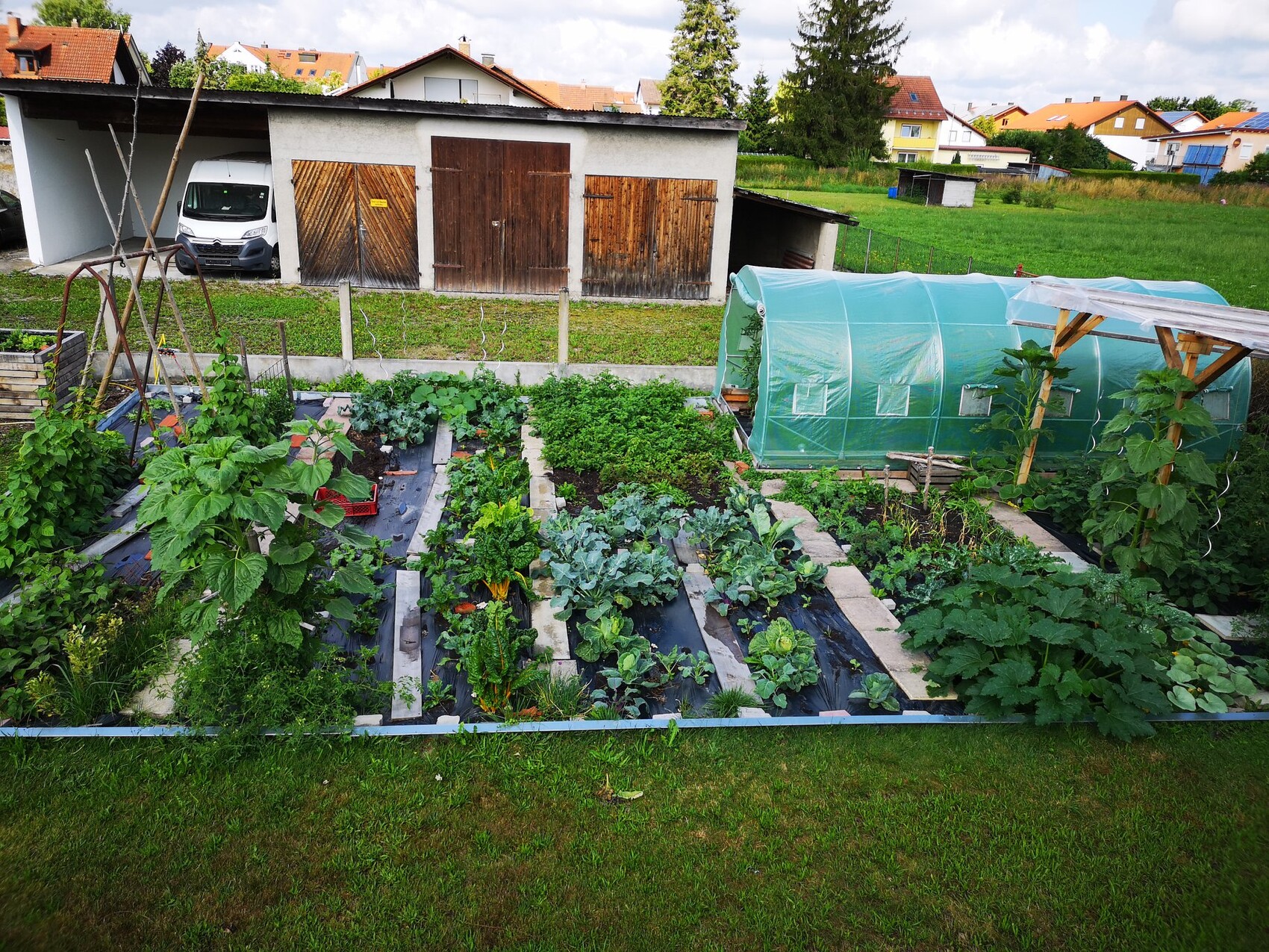 Gemüsegarten mit Hochbeeten und grünem Folien-Gewächshaus im Hinterhof