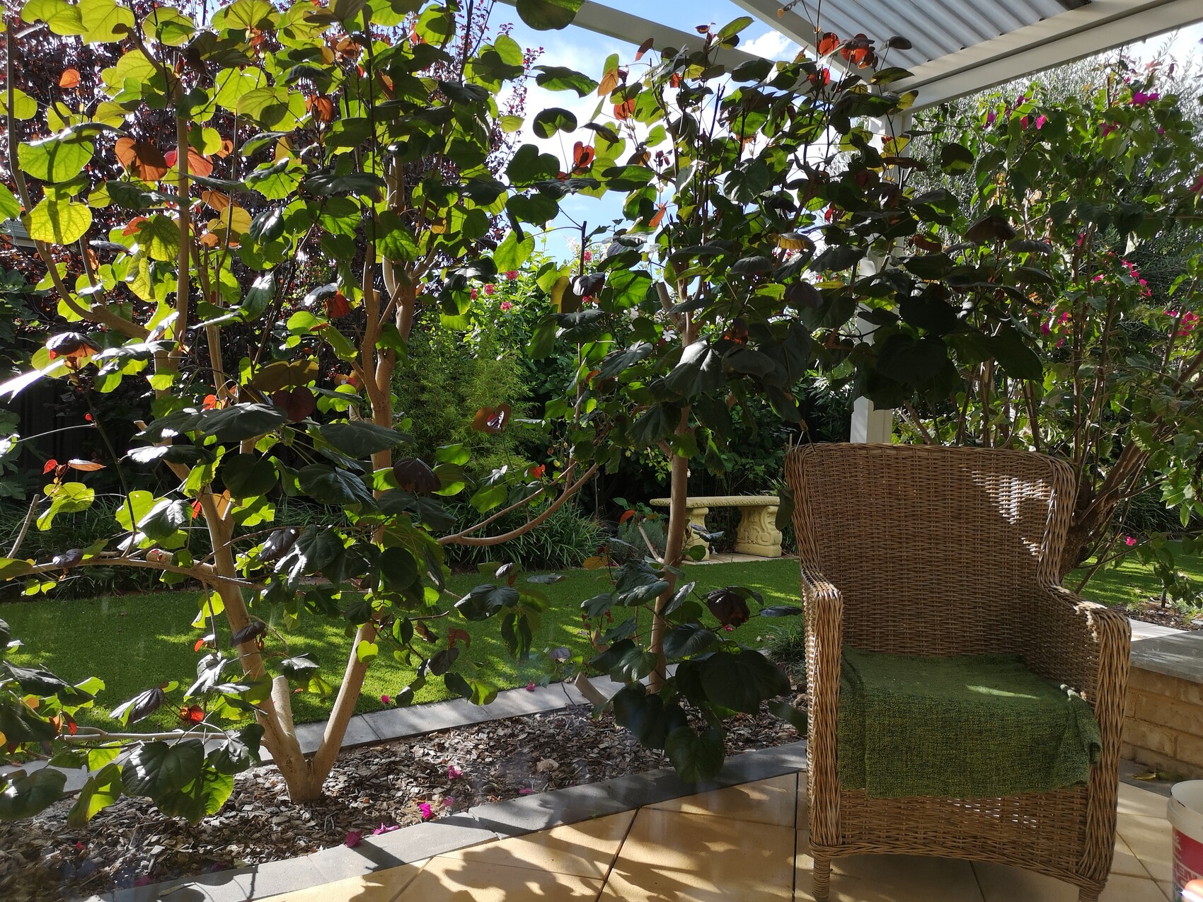 Garten mit Rattan-Sessel auf Terrasse, grüne Bäume und bunte Blumen im Hintergrund.