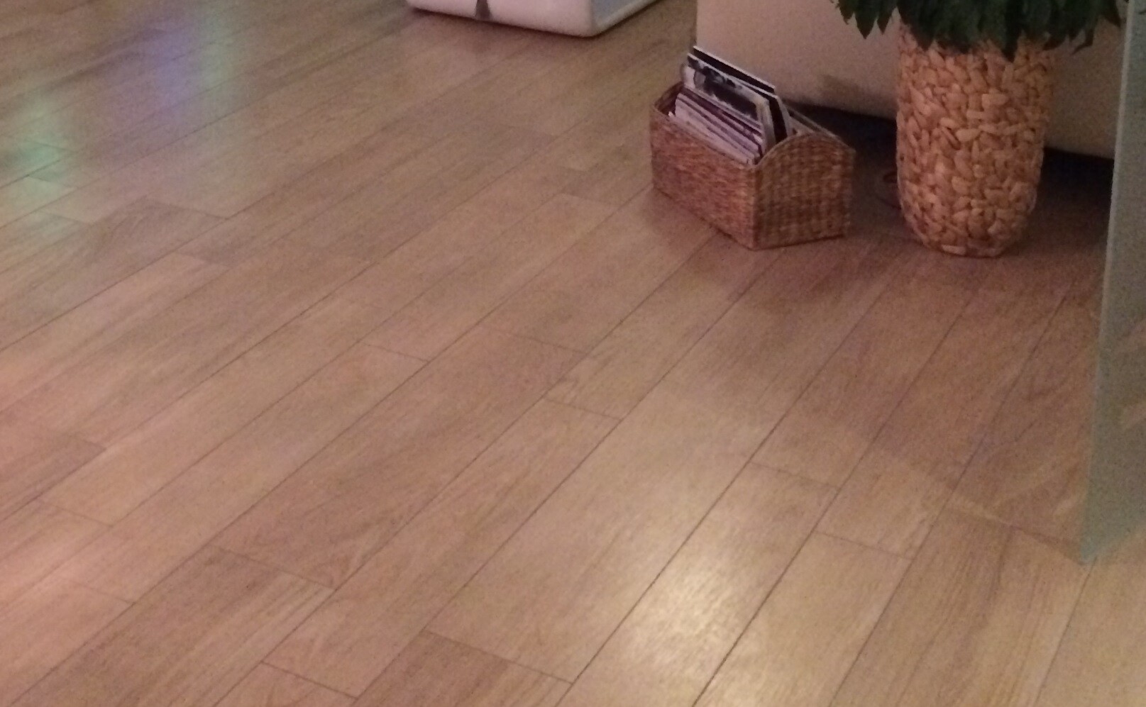Heller Holzfußboden; Korb mit Zeitschriften neben Pflanze in Vase mit Kieselsteinen.