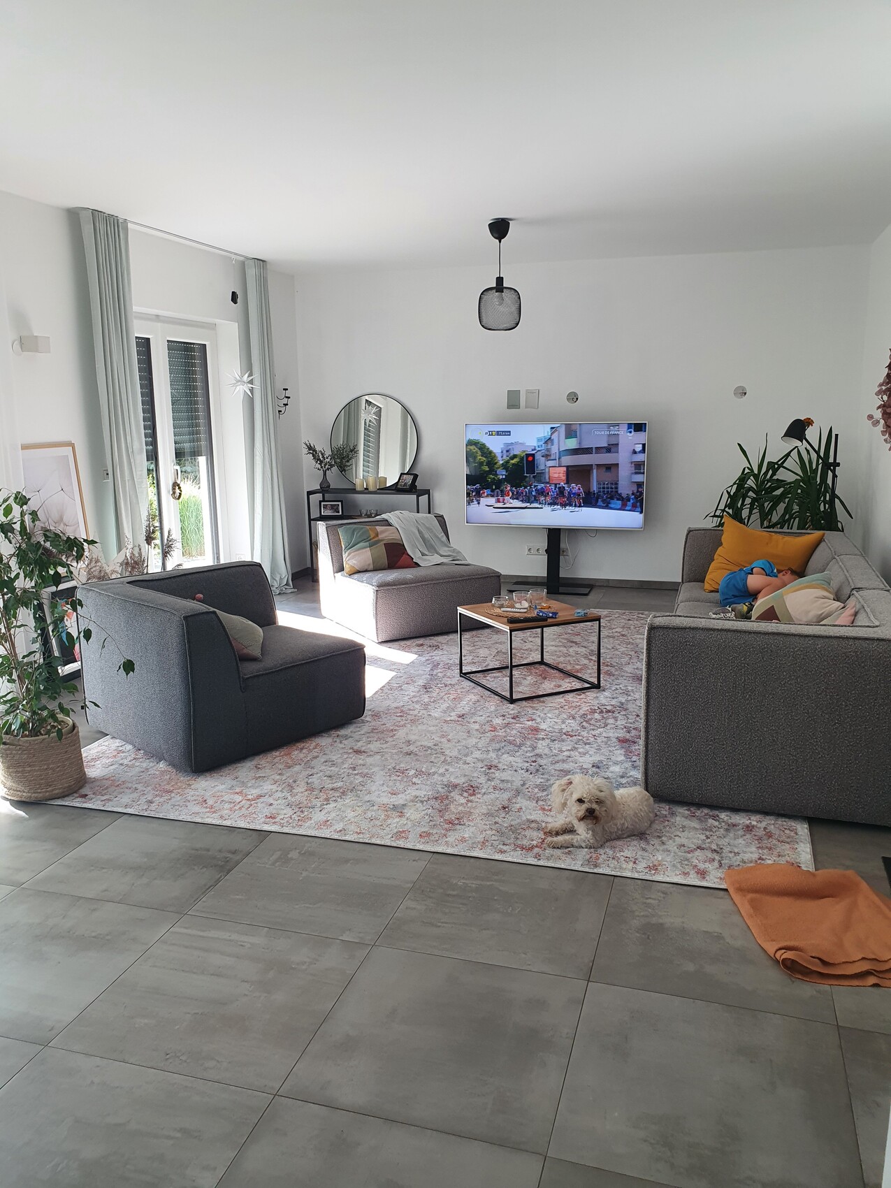 Wohnzimmer mit grauen Sofas, Teppich, Fernseher mit Straßenszene, Pflanzen; Hund liegt auf dem Boden.