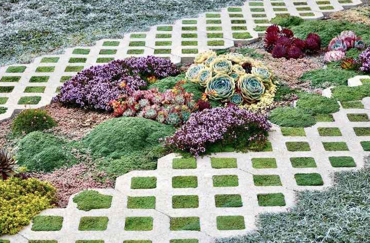 Gepflasterter Gartenweg mit Gras- und Plattenfeldern, bepflanzt mit Sukkulenten.