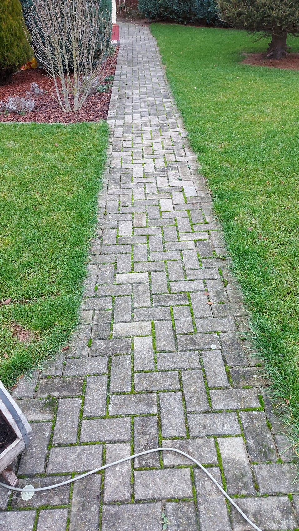 Gepflasterter Gartenweg aus rechteckigen Steinen, flankiert von Grasflächen und einem Mulchbeet.