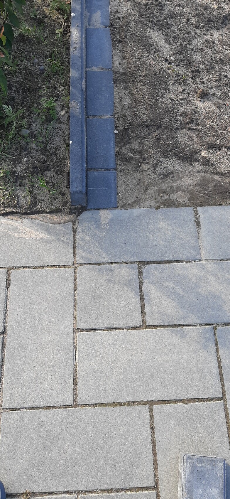 Blaue Steinbordüre neben Erdstreifen mit Pflanzen und grauen Gehwegplatten.