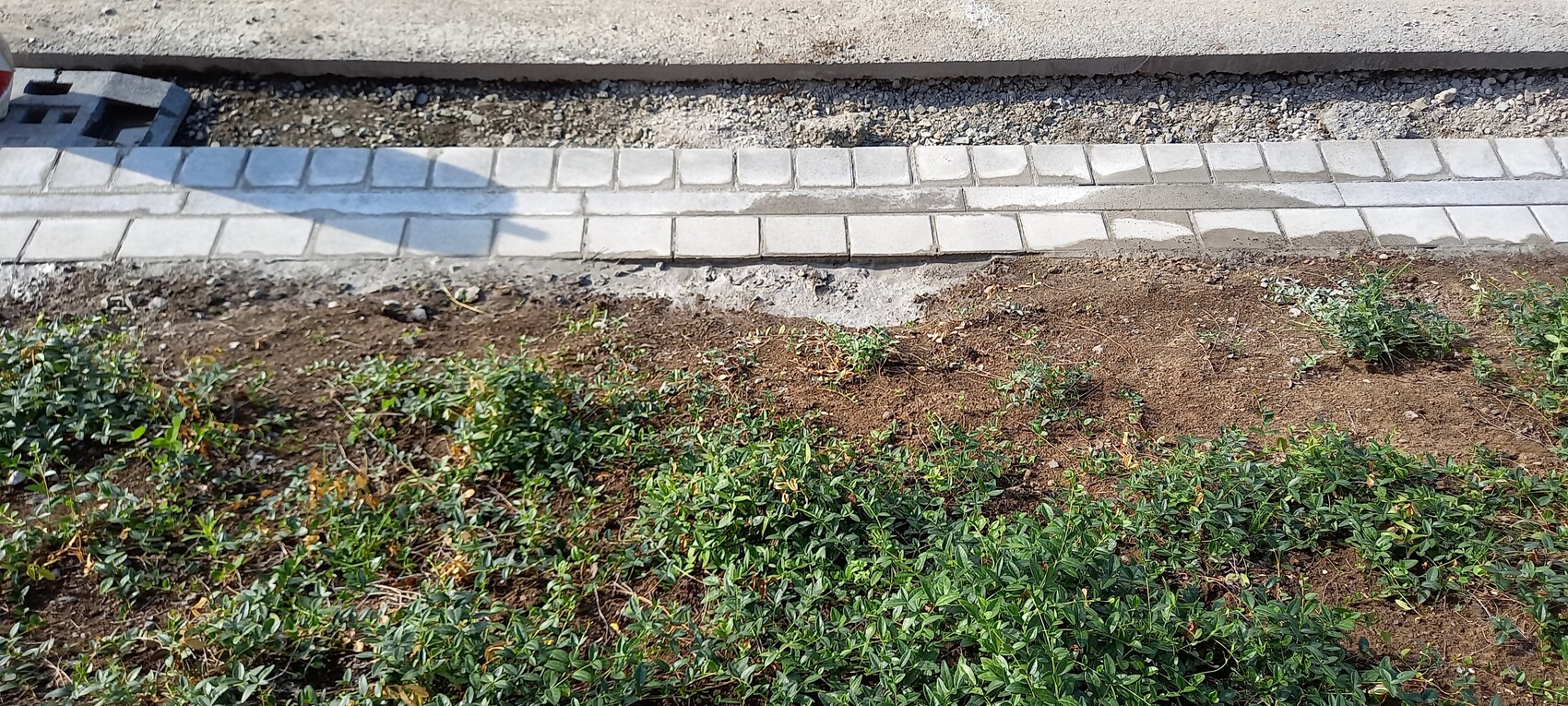 Neugelegter Pflasterweg entlang einer Baugrube; davor dichtes Buschwerk.