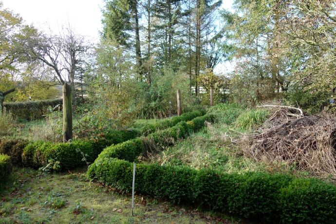 Gepflegter Garten mit niedrigen, runden Hecken, Holzpfosten und einem Asthaufen rechts.