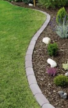 Gepflegter Garten mit kurviger Pflasterkante, Rasen und Mulchbeeten mit Ziersträuchern.