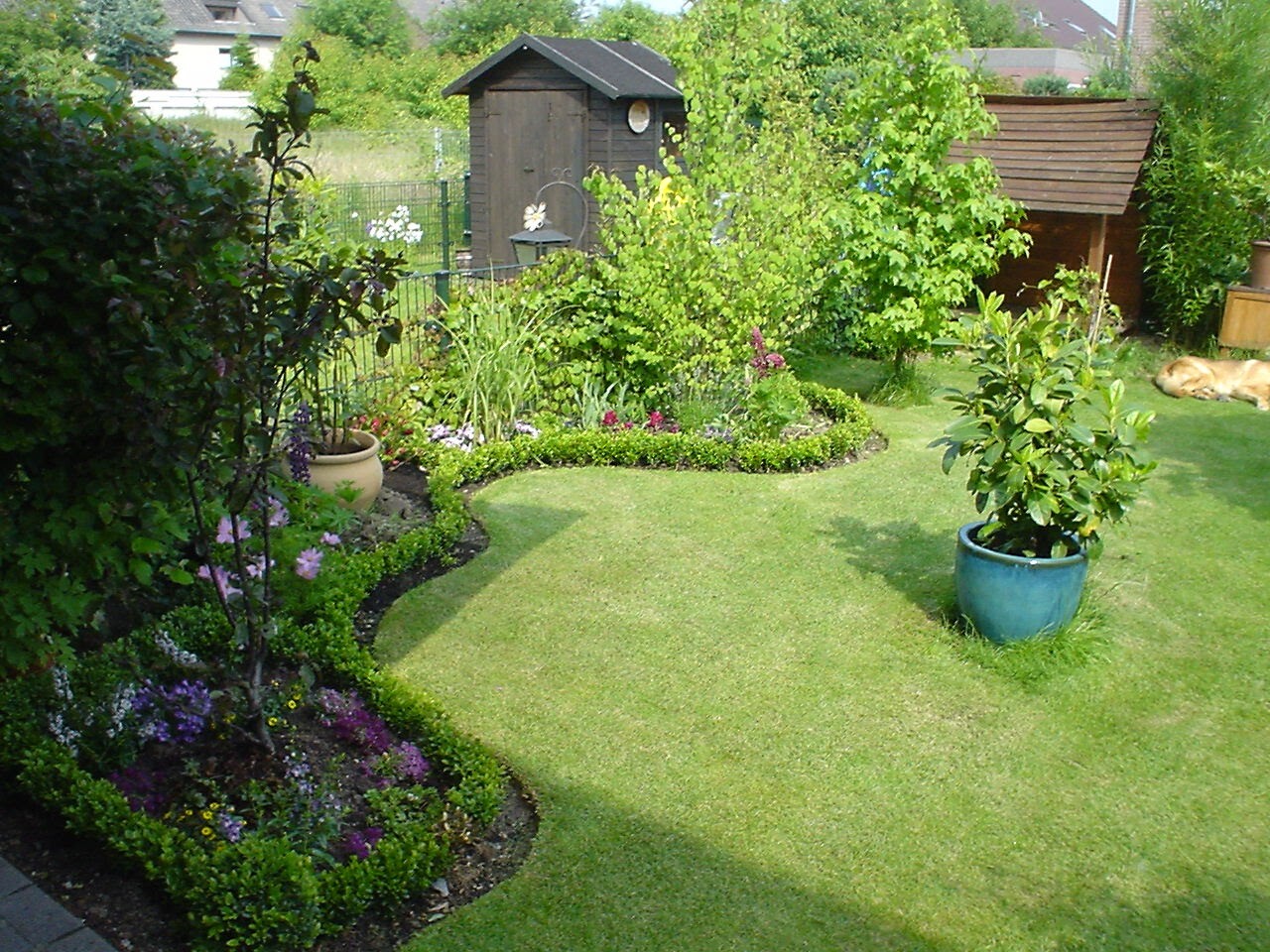 Garten mit Rasen, Blumenrabatten, blauem Topf und Holzschuppen; Hund liegt rechts.