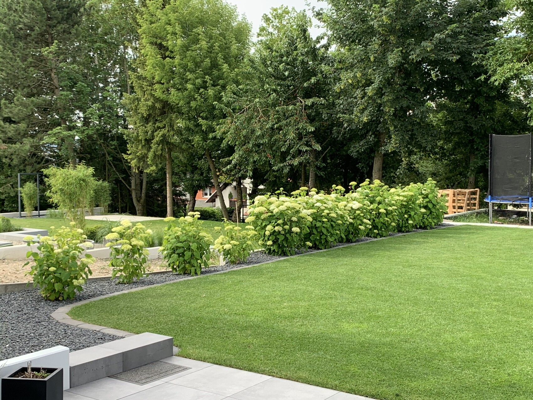 Gepflegter Garten mit grünem Rasen, Hydrangea-Sträucher am Kiesweg, Trampolin im Hintergrund.