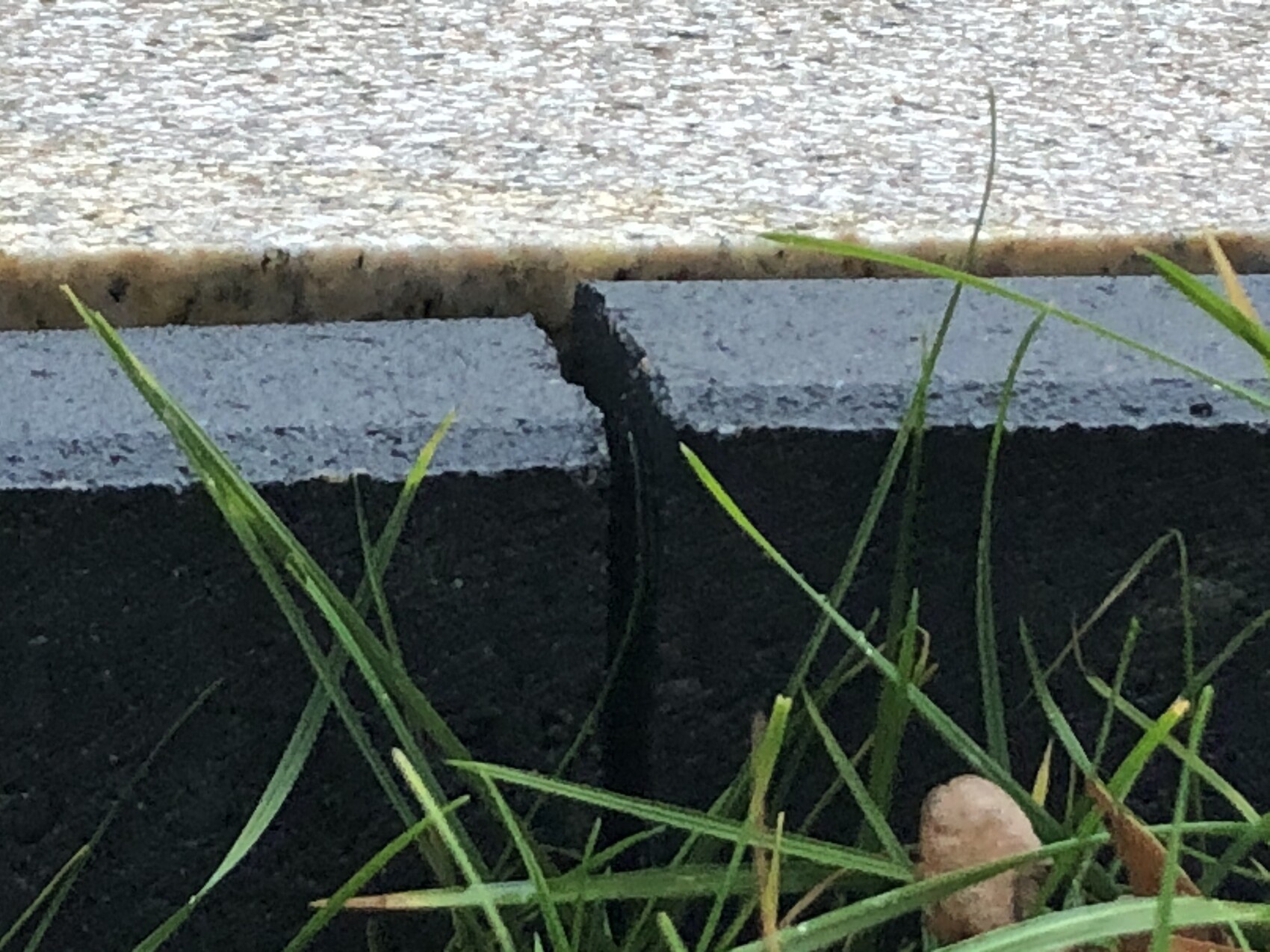 Riss zwischen grauer Pflasterkante und dunkelgrauem Untergrund mit Gras am Boden.