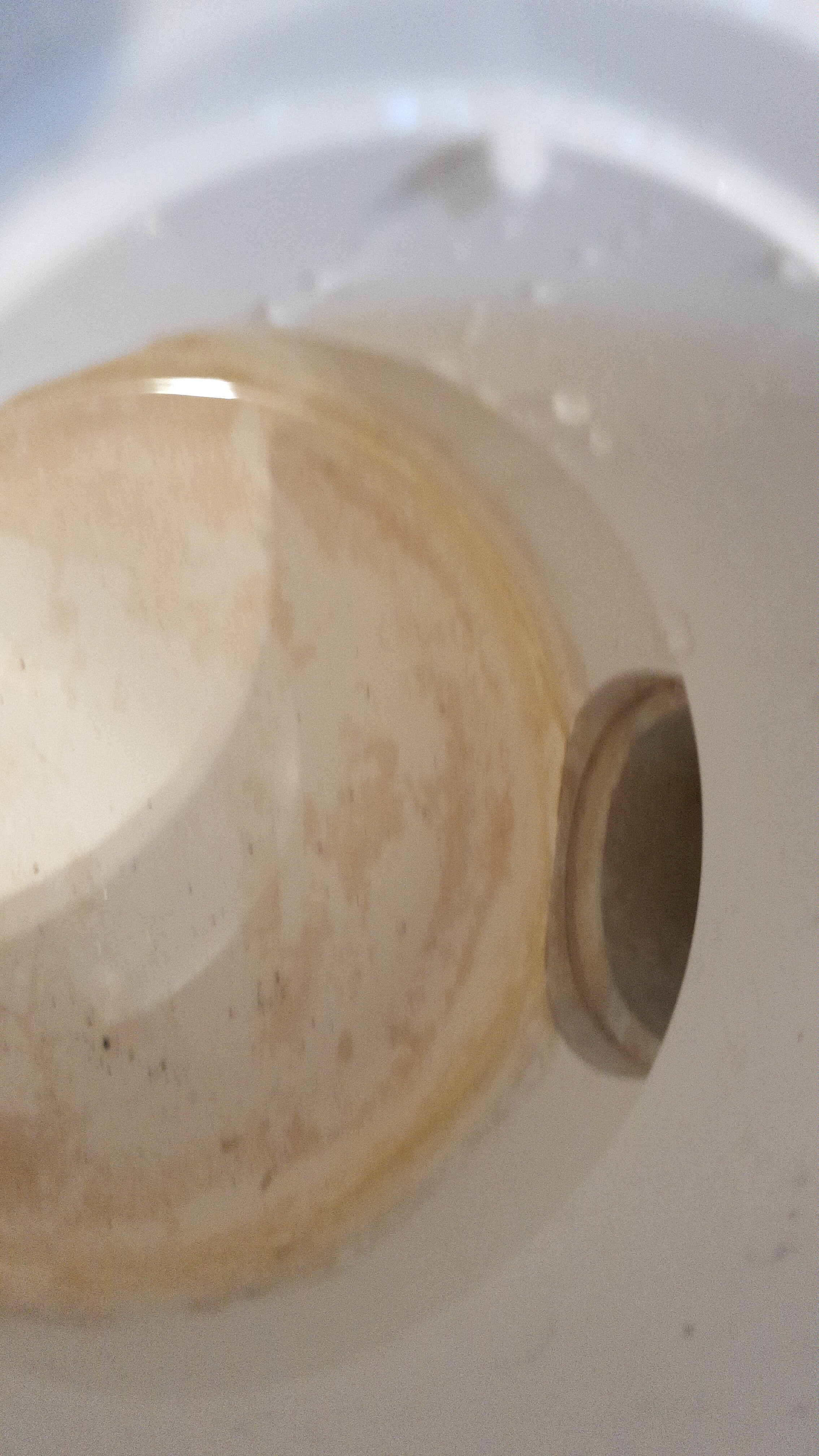 gestand-aus-der-dusche-im-erdgeschoss-302937-2.jpeg
