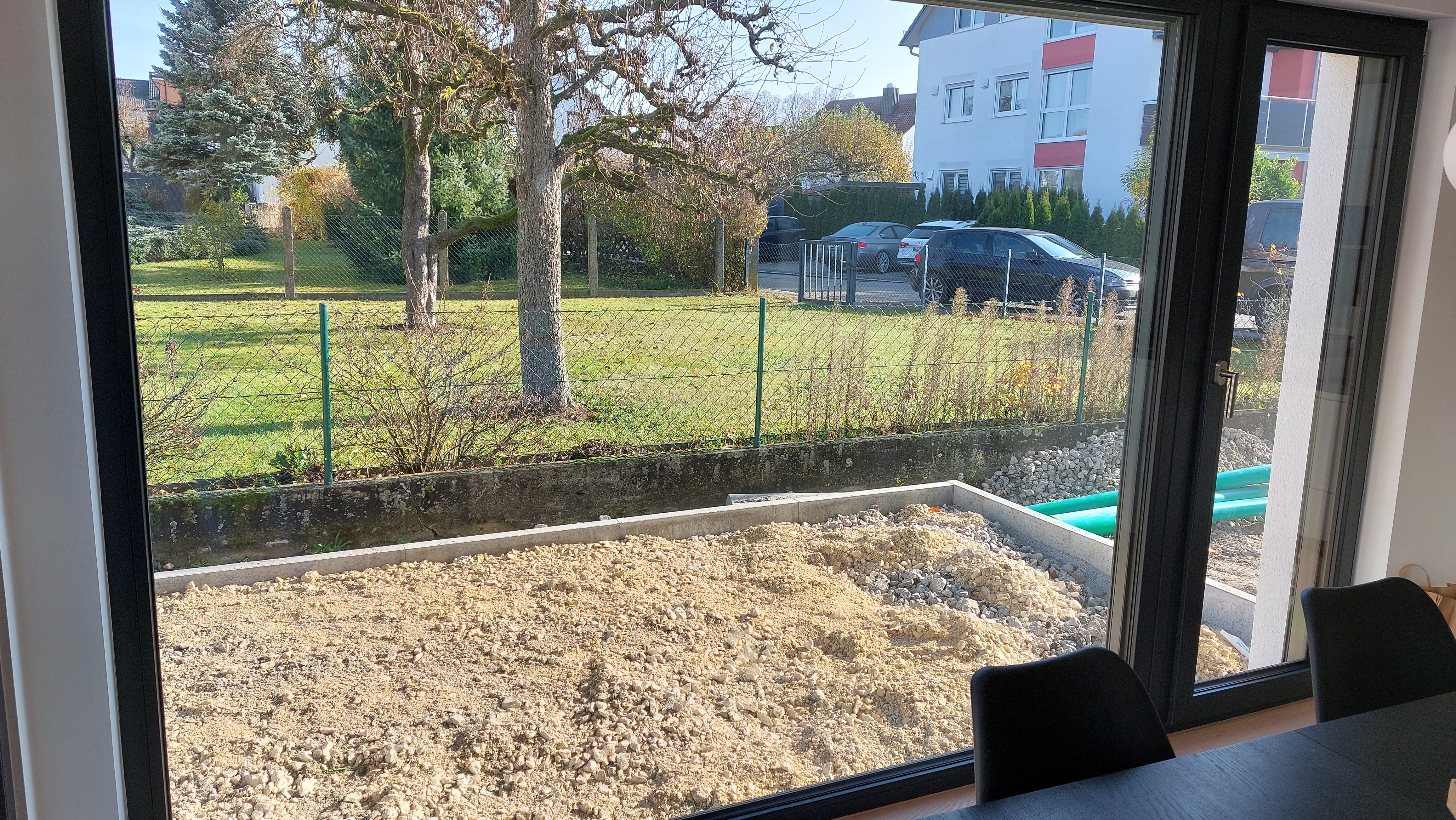 gesucht-pflanzen-als-sichtschutz-538953-1.jpg