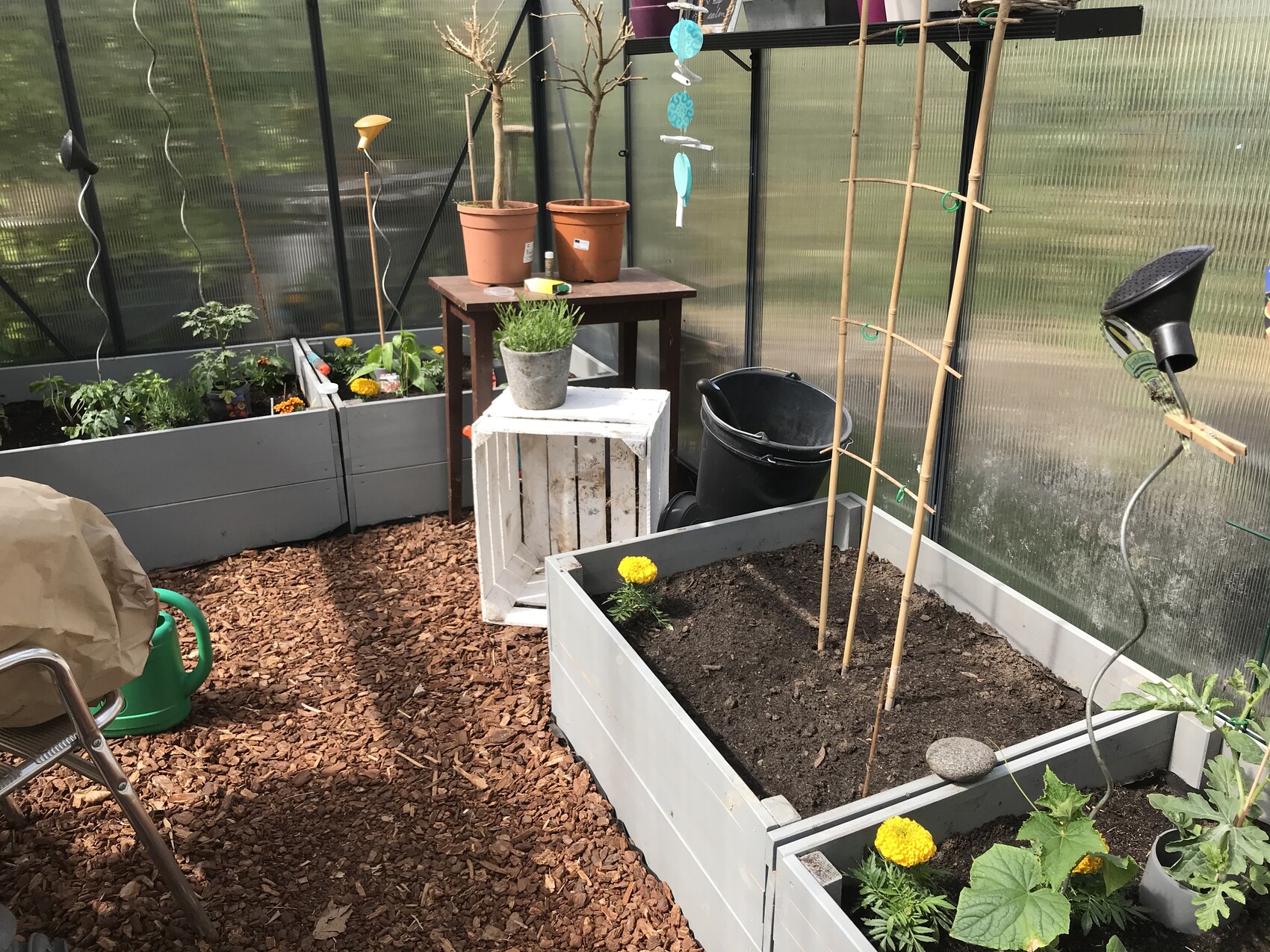 Garten im Gewächshaus mit Hochbeeten, Töpfen, Bambusstangen, Gießkanne und Erde im Beet.