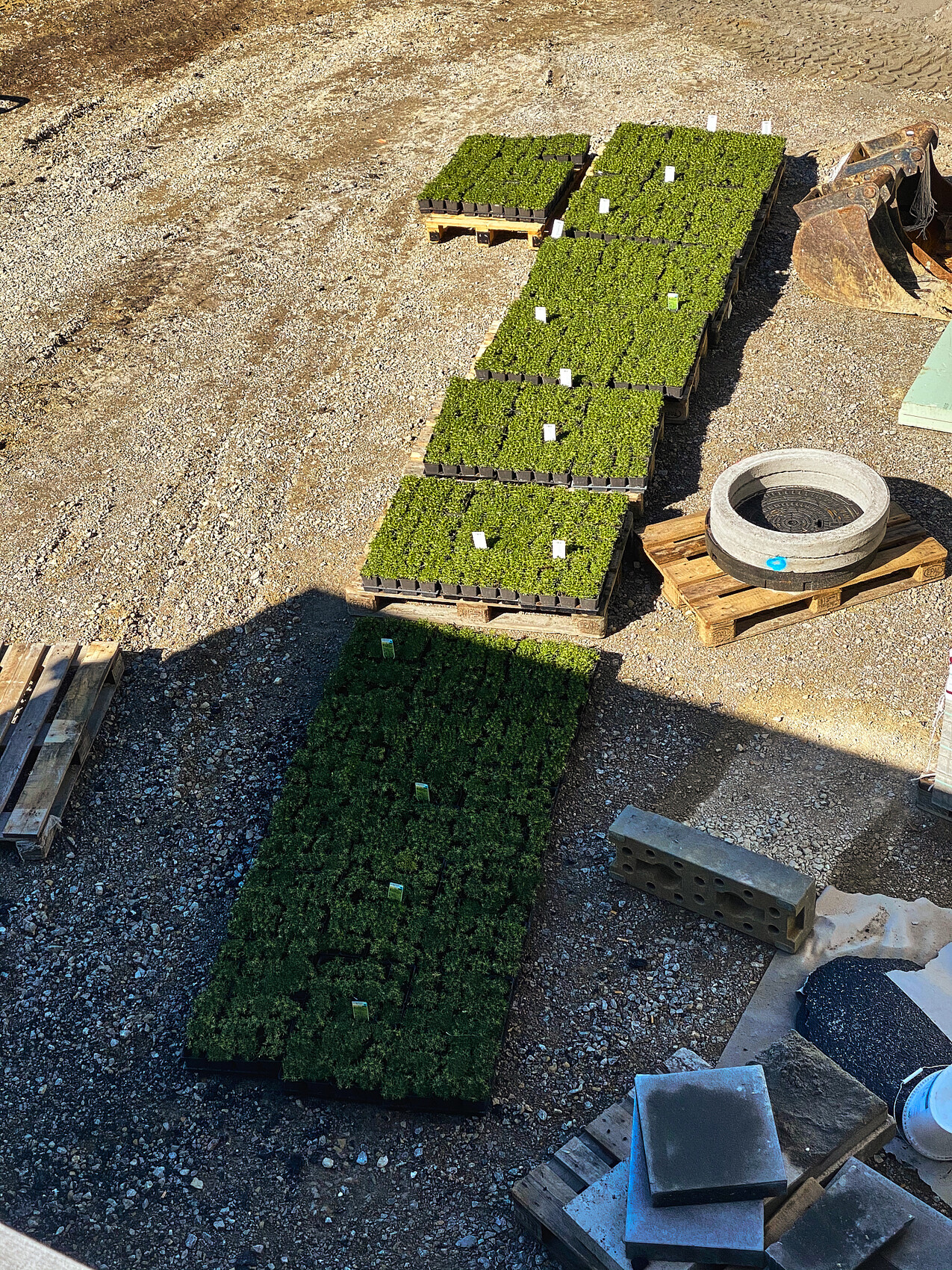 Baustelle mit Grasmatten auf Paletten, Kiesboden, Baumaterialien und Bauwerkzeugen im Freien
