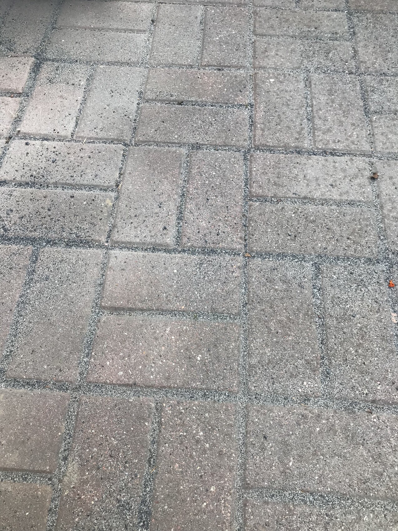 Gepflasterter Gehweg mit grauen Rechtecksteinen, von oben fotografiert.