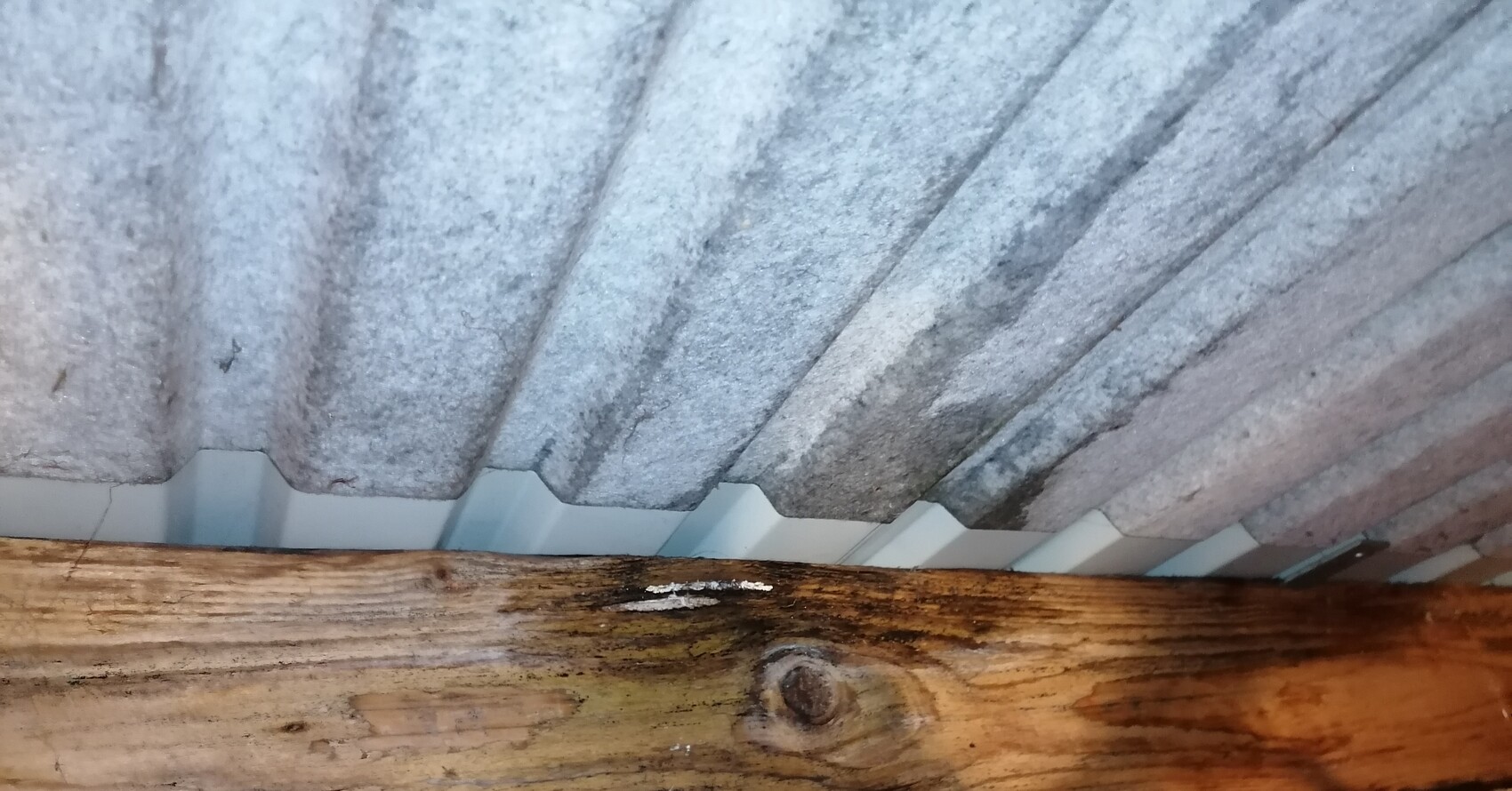 Unterseite eines grauen Wellblech-Daches über einem Holzbalken.