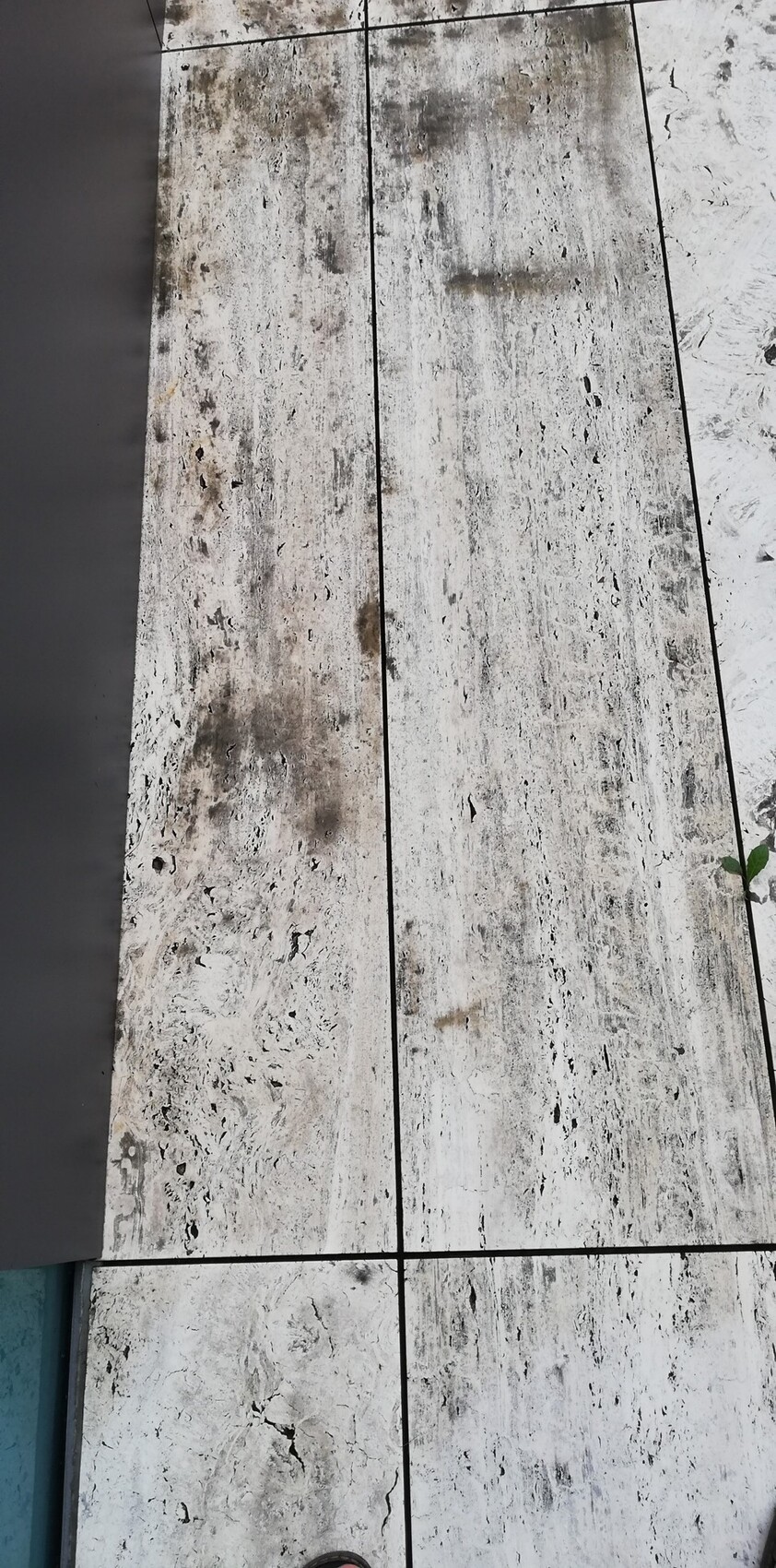 Graue, marmorierte Bodenplatten mit schwarzen Fugen; schmutzig, Flecken, kleines Blatt.