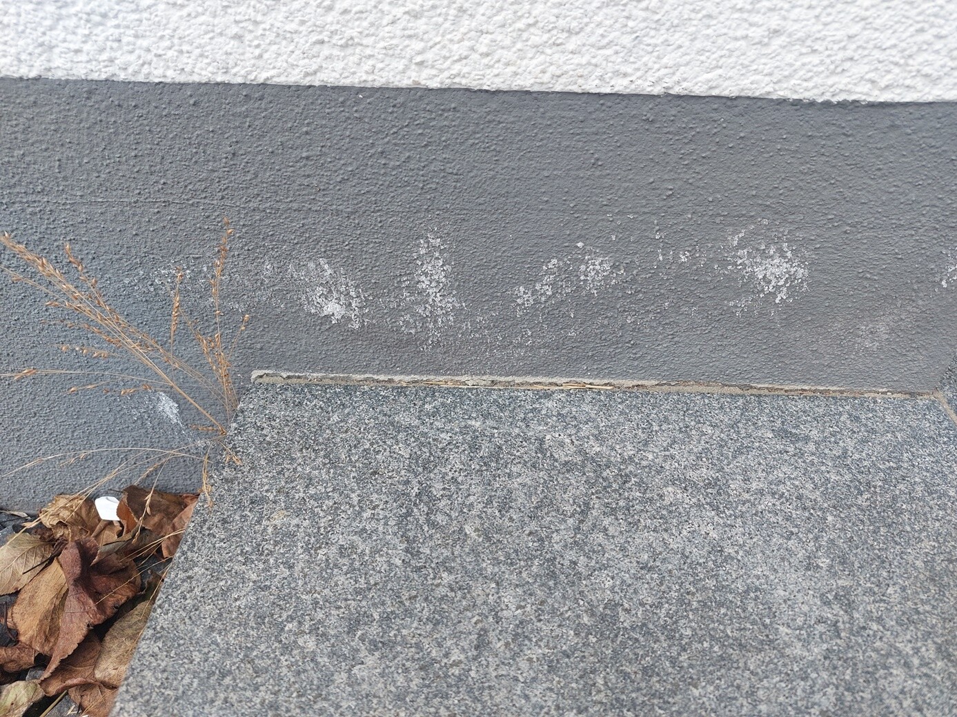 Graue Steinstufen vor rauer zweifarbiger Wand; trockene Blätter und Gras am Spalt.
