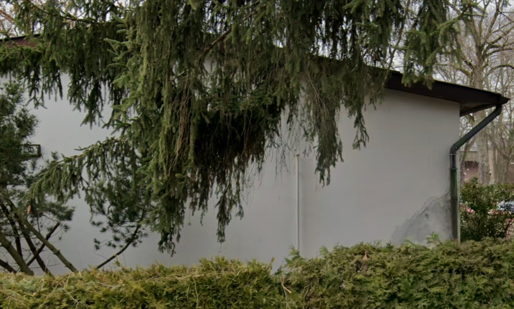 Außenwand eines grauen Gebäudes, von dichter Hecke und herabhängendem Nadelbaum mit Dachrinne.
