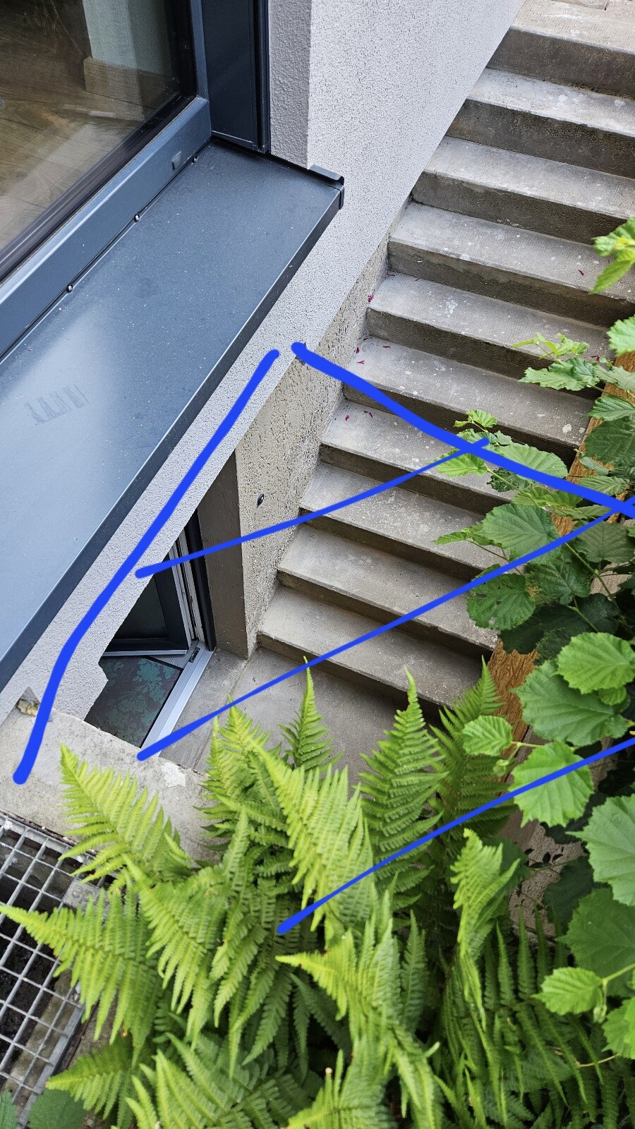 Außenansicht: Fenster mit Fensterbank, Betonwand und Treppenstufen; davor grüne Farne.