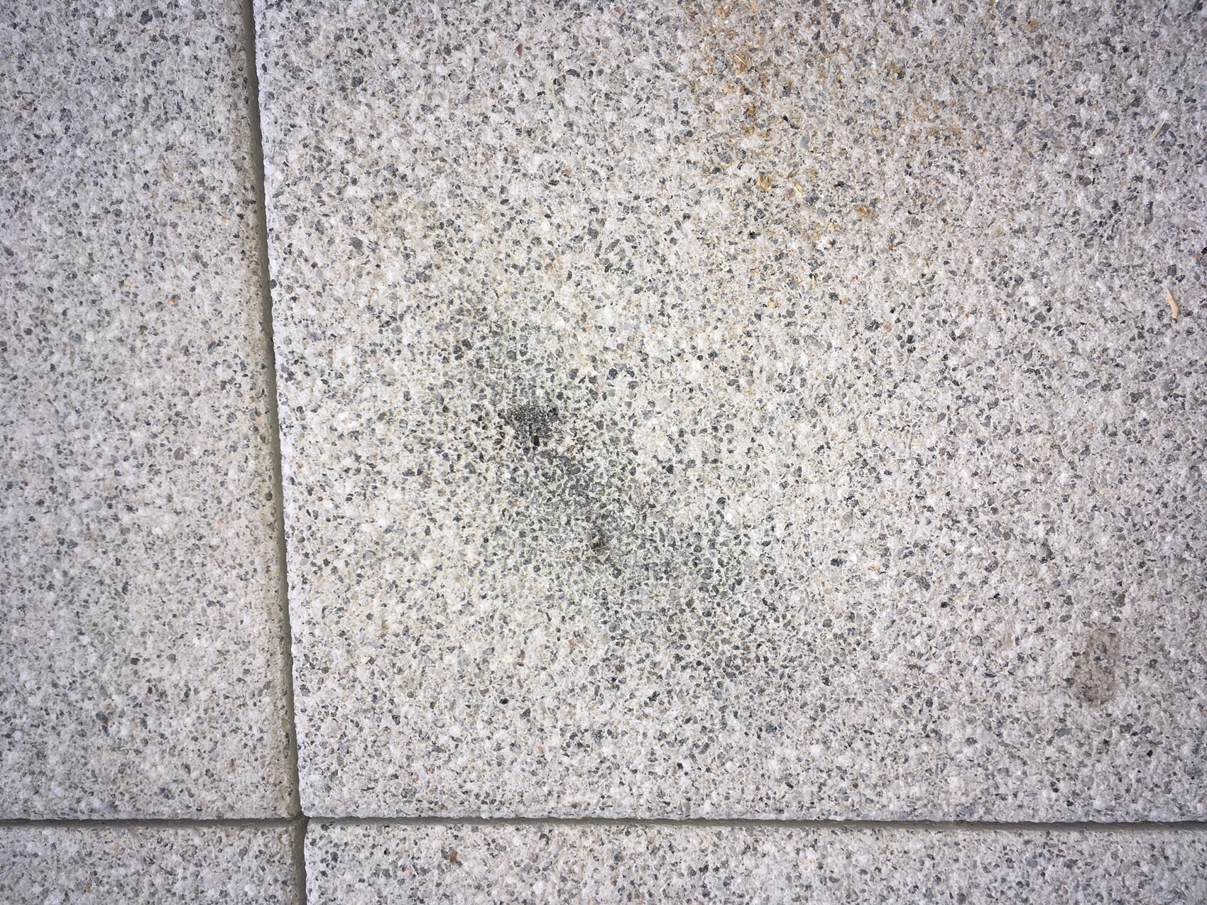 Nahaufnahme grauer Pflastersteine auf Terrasse mit Fugen