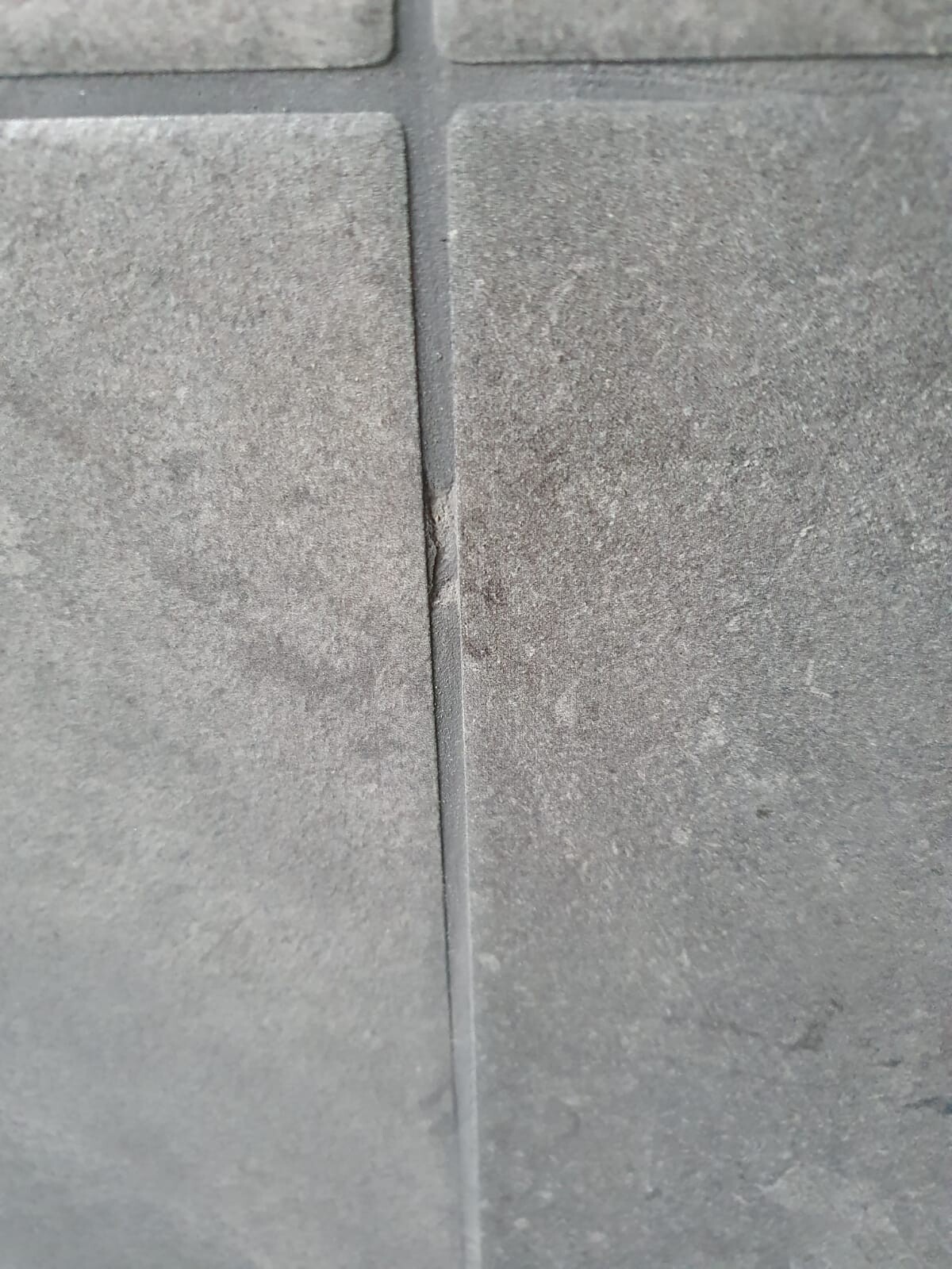 Nahaufnahme grauer Pflastersteine mit schmaler Fuge und sichtbarem Riss in der Mitte.