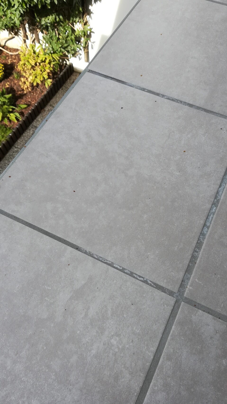 Graue Beton-Terrassenplatten mit sichtbaren Fugen, seitlich ein Grünstreifen mit Pflanzen.