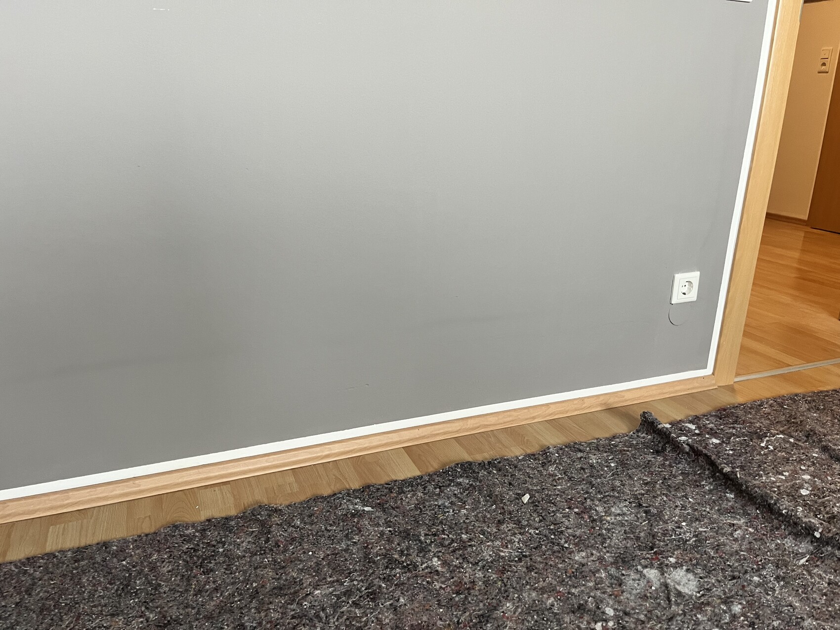 Graue Innenwand mit weißem Sockel, Steckdose, Holzfußboden und dunklem Teppichboden.