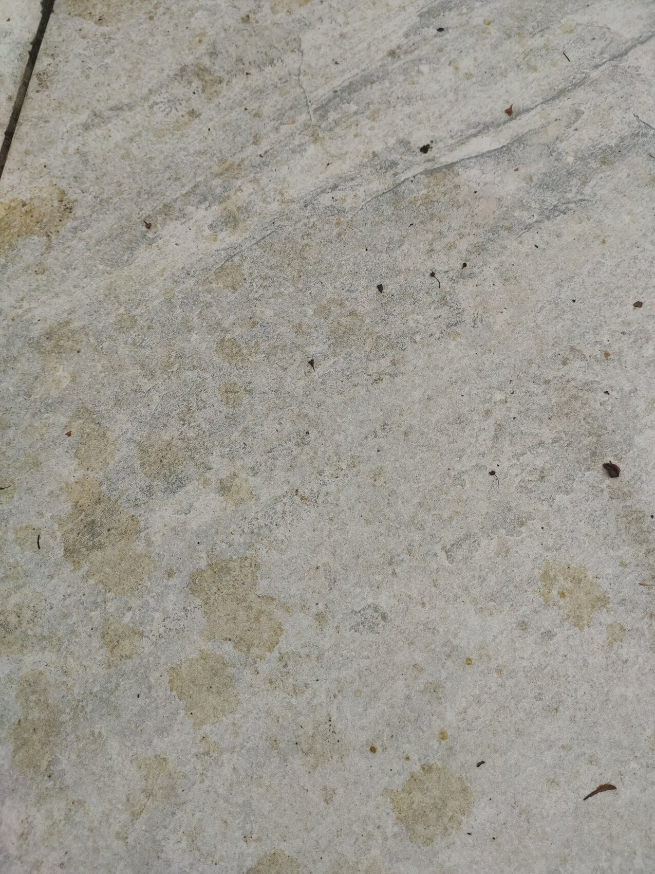 Nahaufnahme einer grauen Betonoberfläche mit gelblichen Flecken und kleinen Staubpartikeln