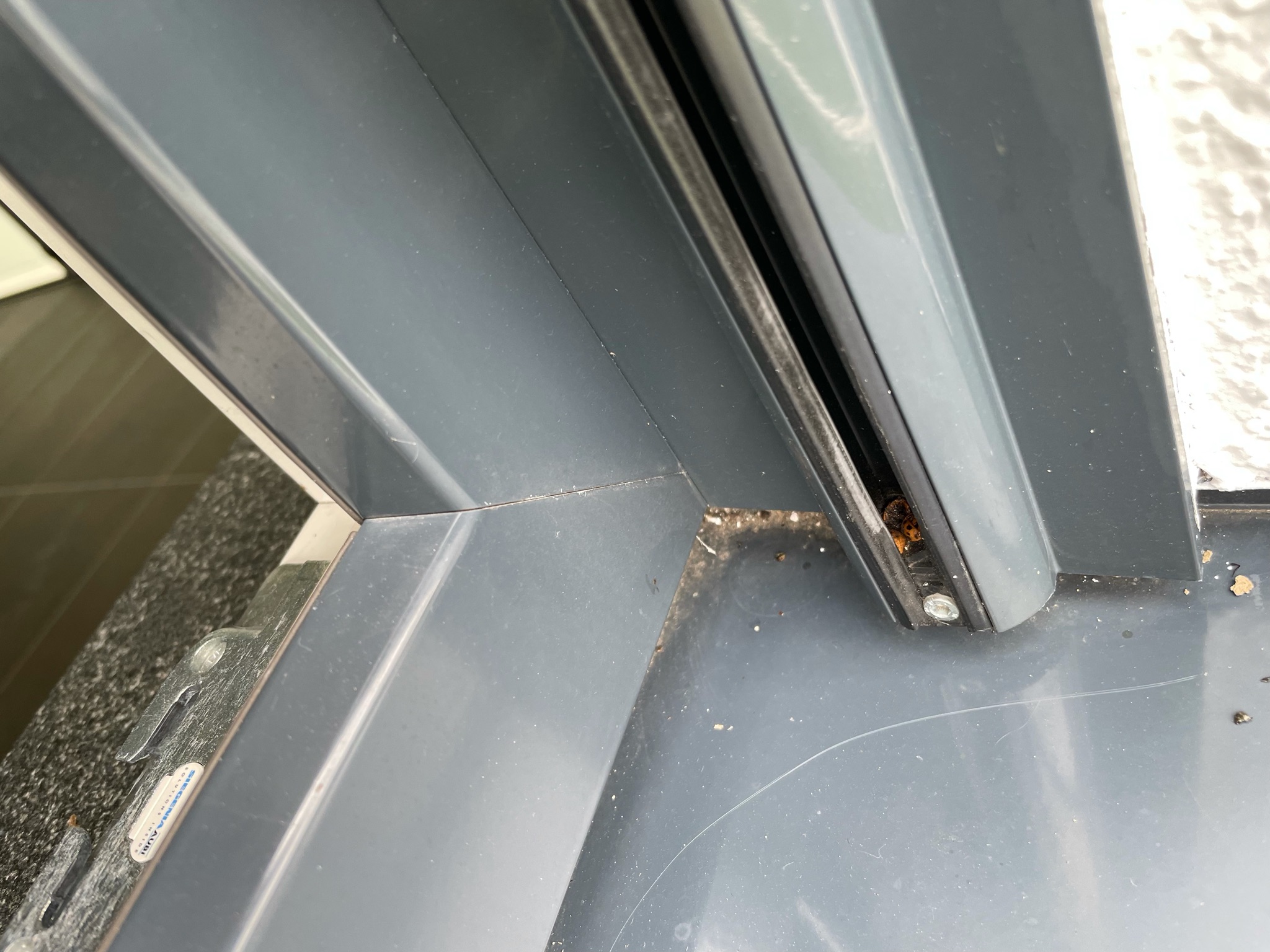 grauer-fensterrahmen-detail-eckverbindung-metall.jpeg